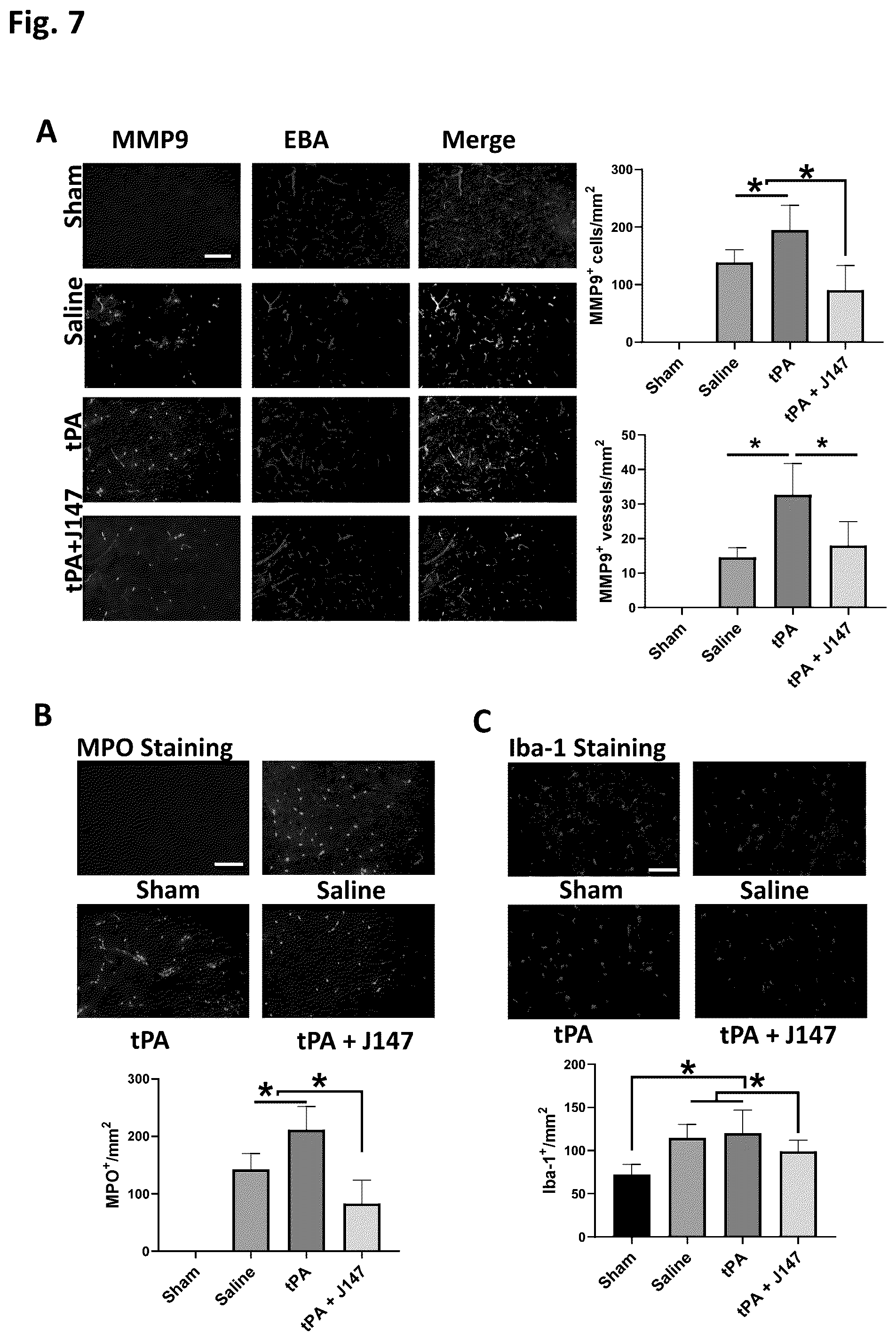 Patent US12496281 Figure 8 – Compounds for prevention and treatment of hemorrhage and vasculature instability