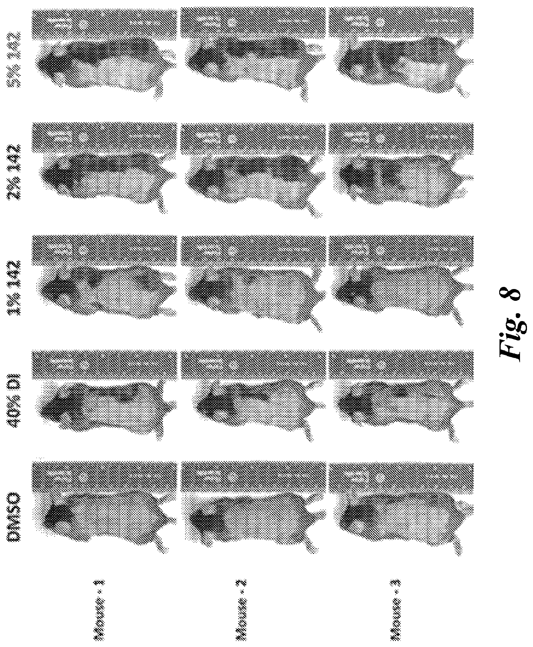 Patent US12496284 Figure 9 – Use of itaconate and its derivatives/analogues to induce hair growth