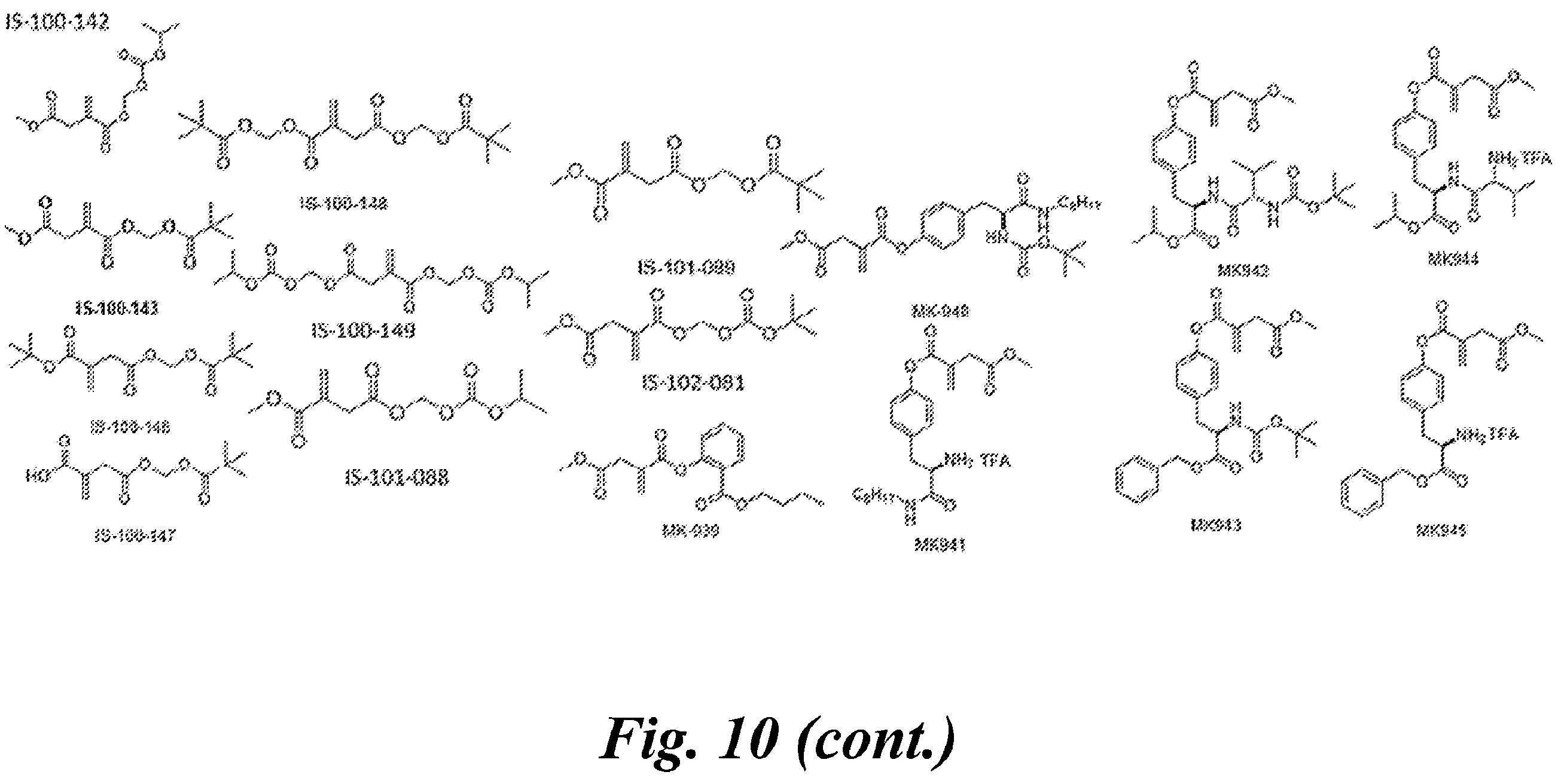Patent US12496284 Figure 12 – Use of itaconate and its derivatives/analogues to induce hair growth