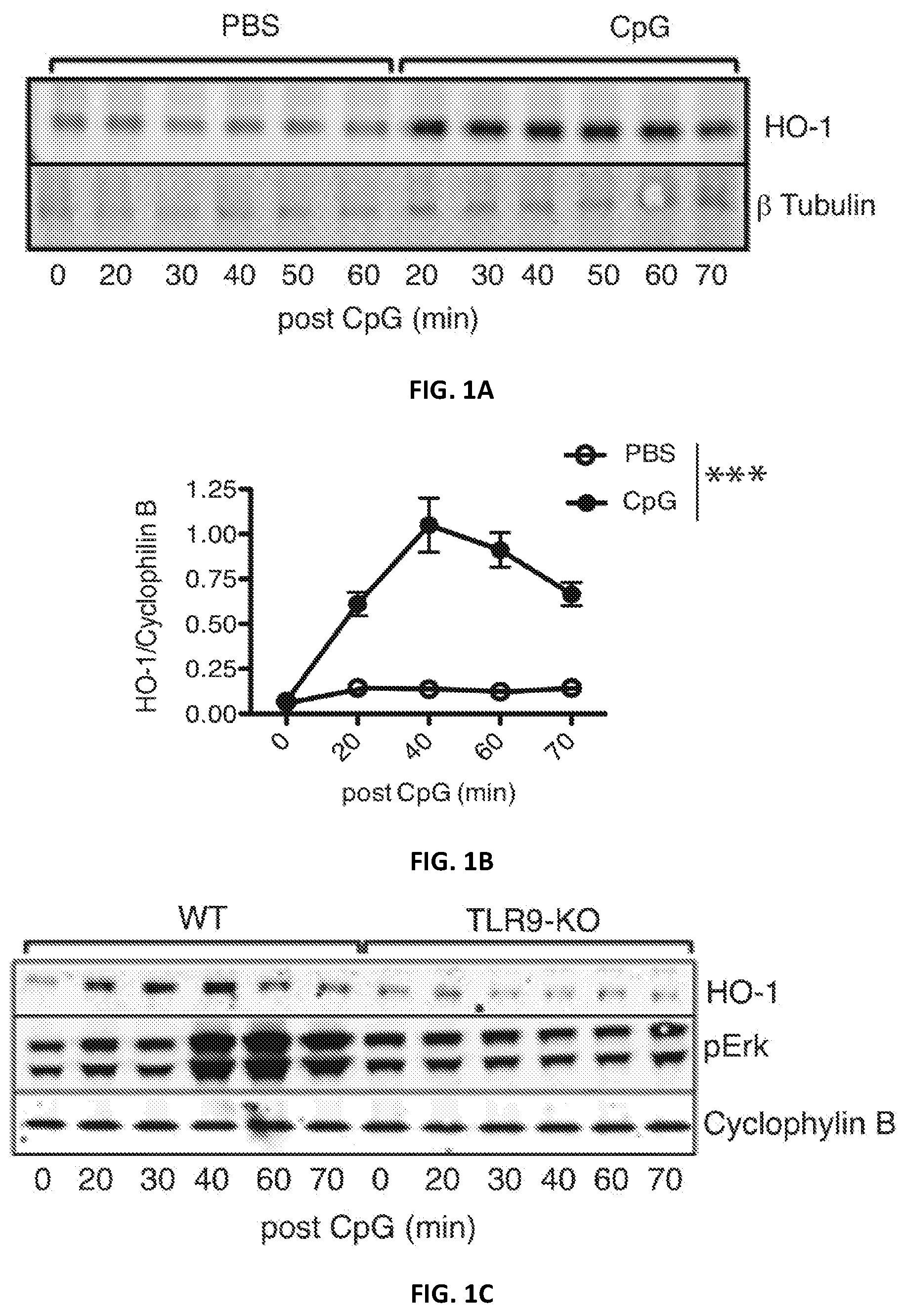 Patent US12496287 Figure 1 – Compositions and methods for treating macrophage activation syndrome