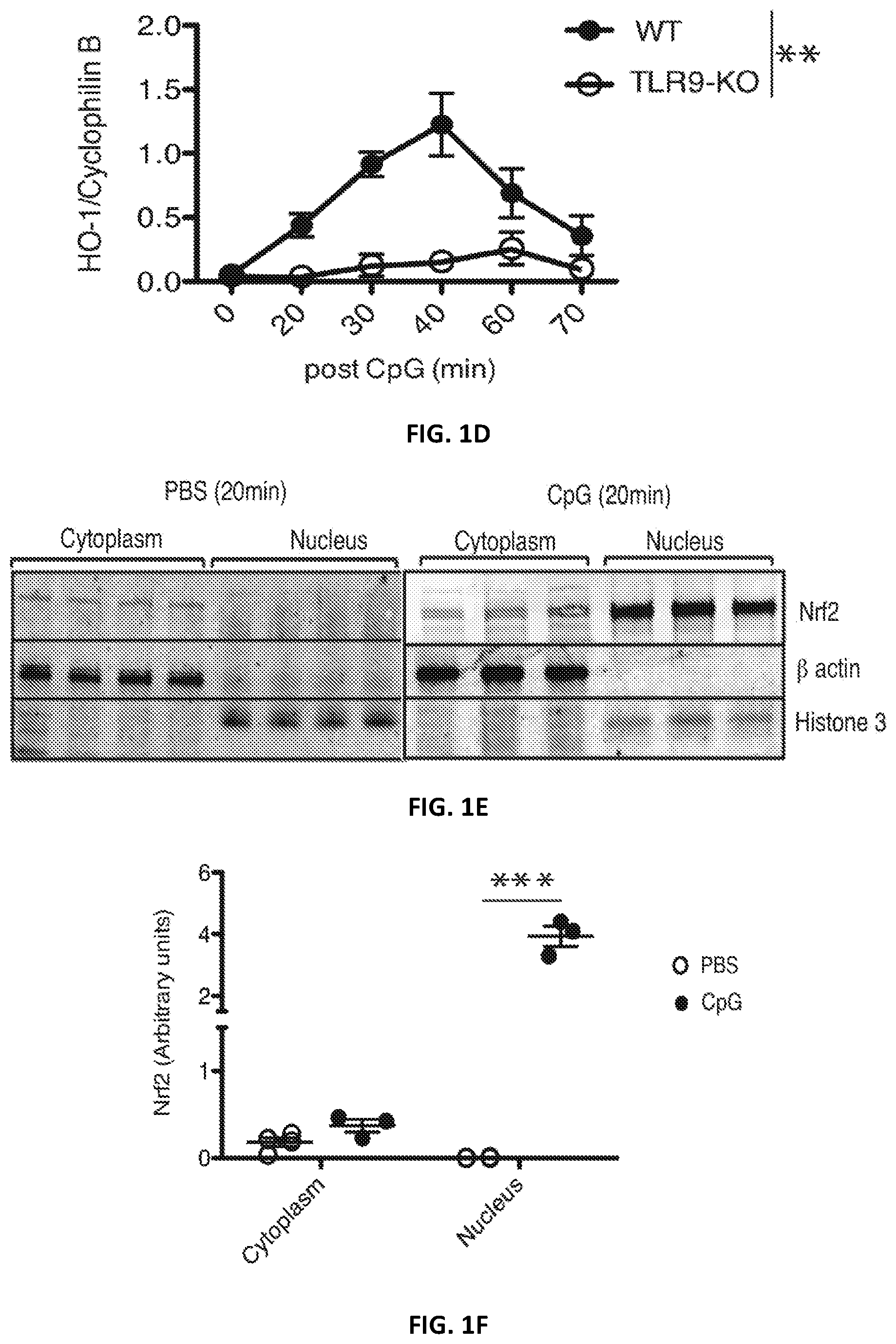 Patent US12496287 Figure 2 – Compositions and methods for treating macrophage activation syndrome