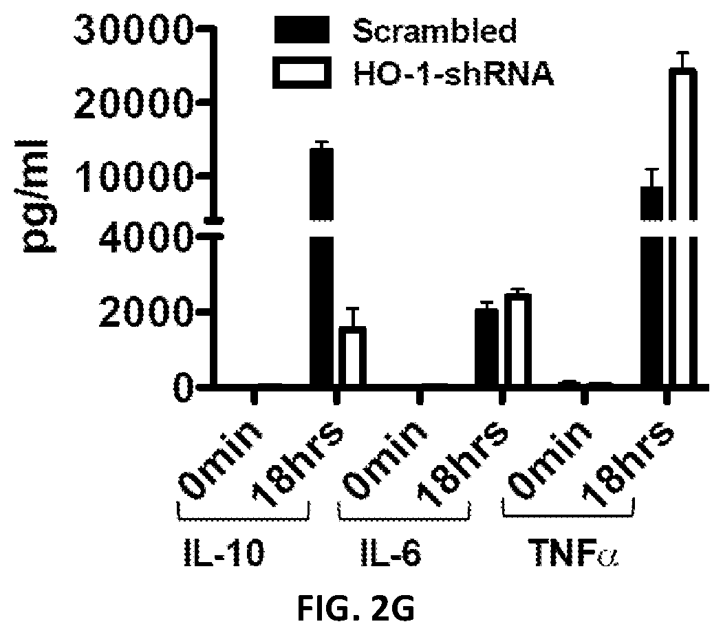 Patent US12496287 Figure 5 – Compositions and methods for treating macrophage activation syndrome