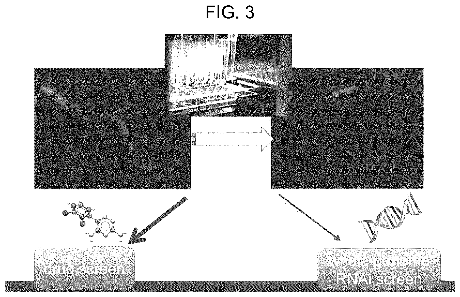 Patent US12496297 Figure 3 – Compositions of autophagy modulating agents and uses thereof