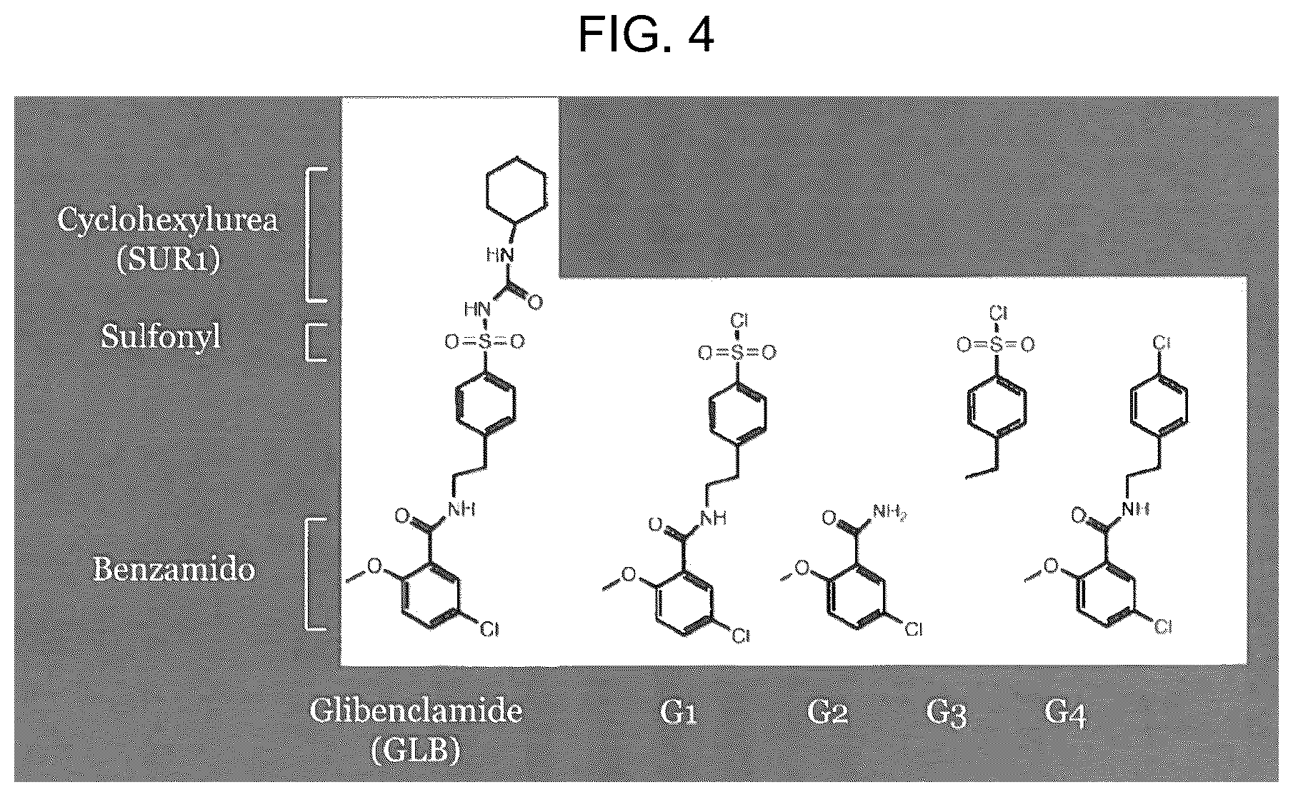 Patent US12496297 Figure 4 – Compositions of autophagy modulating agents and uses thereof
