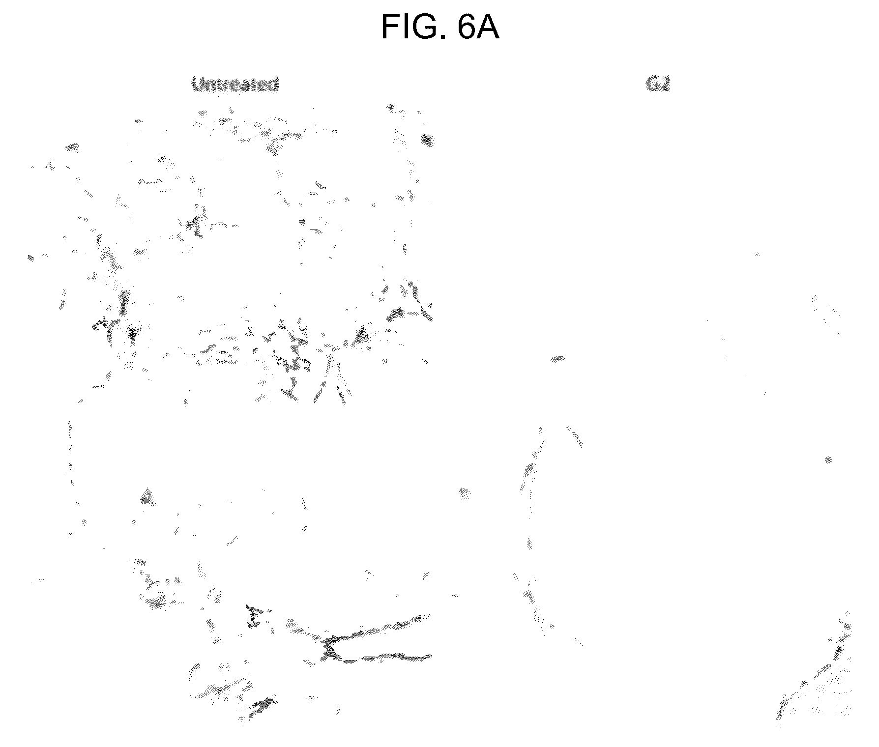 Patent US12496297 Figure 7 – Compositions of autophagy modulating agents and uses thereof