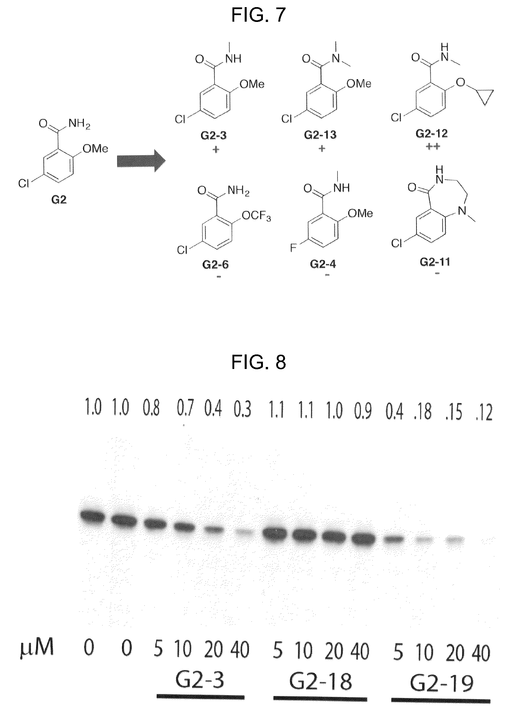 Patent US12496297 Figure 9 – Compositions of autophagy modulating agents and uses thereof
