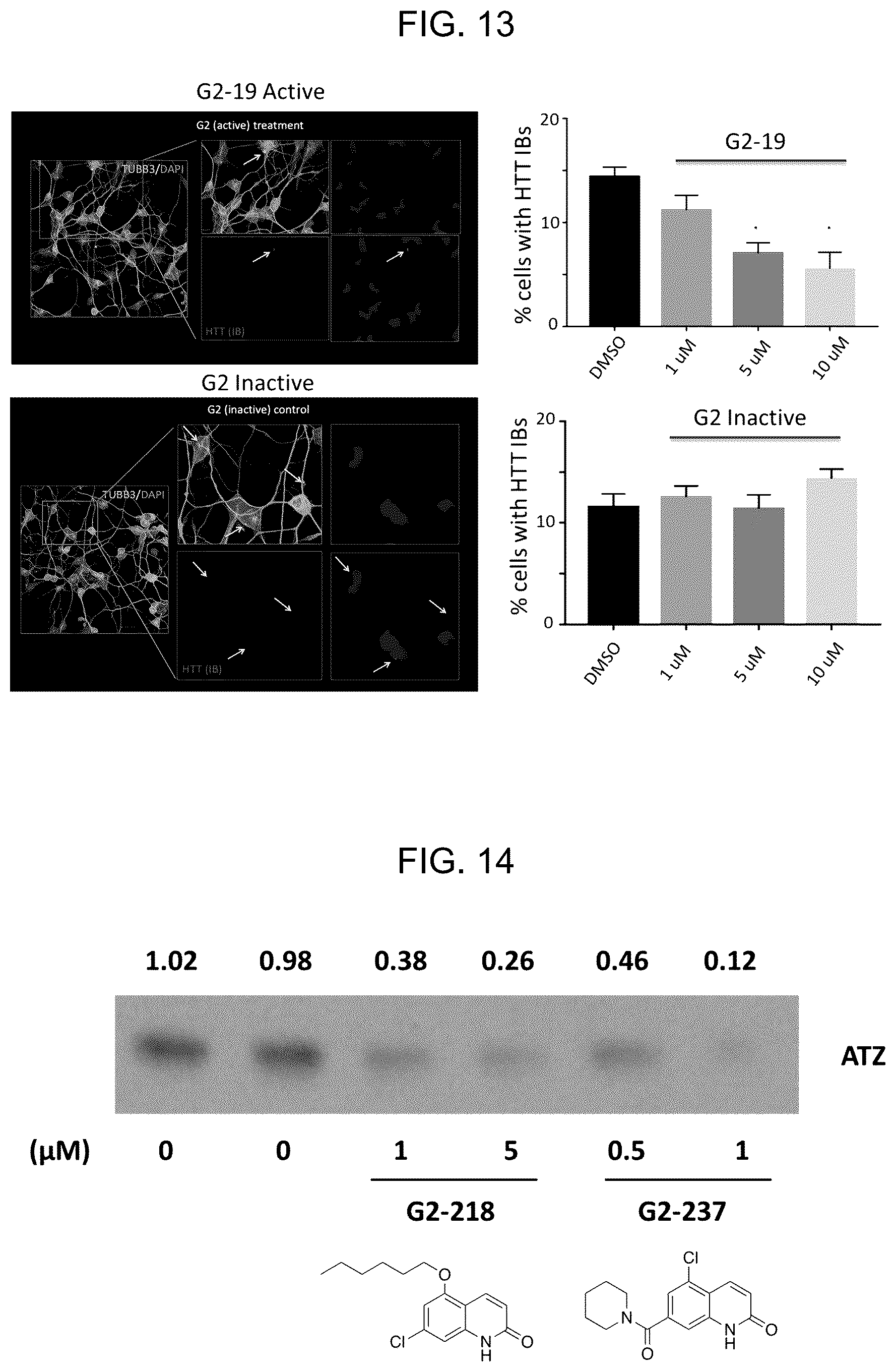 Patent US12496297 Figure 14 – Compositions of autophagy modulating agents and uses thereof