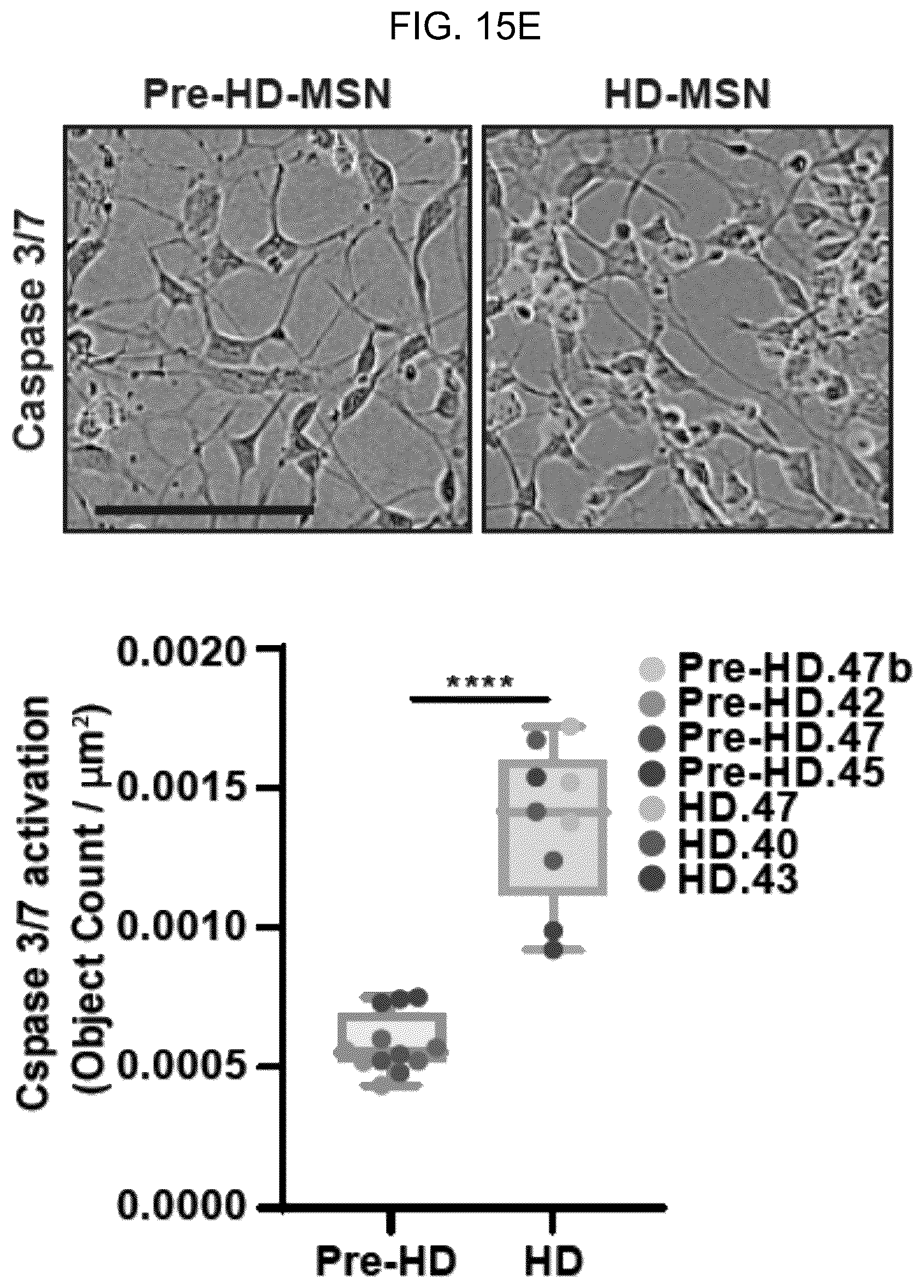 Patent US12496297 Figure 18 – Compositions of autophagy modulating agents and uses thereof