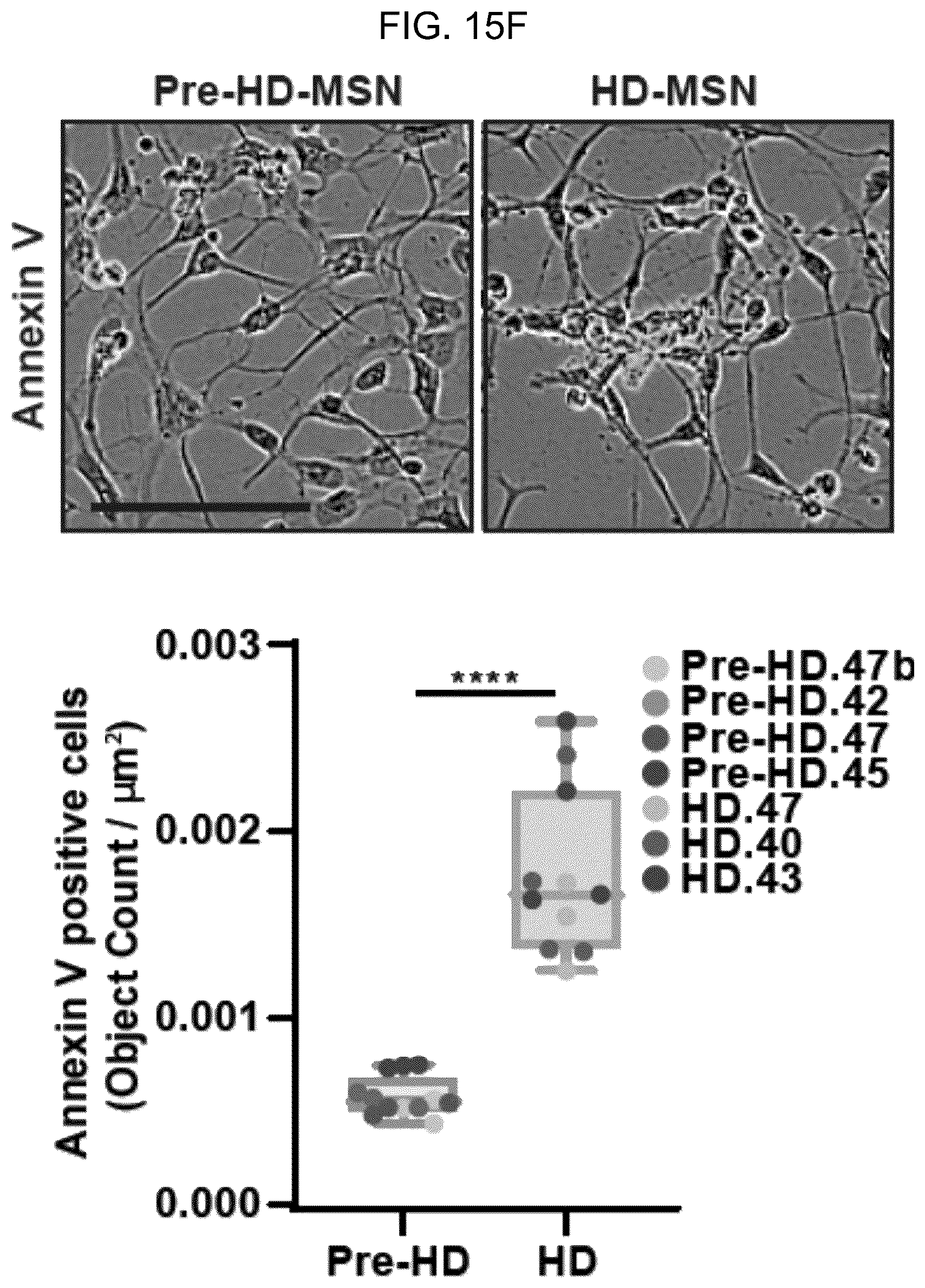 Patent US12496297 Figure 19 – Compositions of autophagy modulating agents and uses thereof