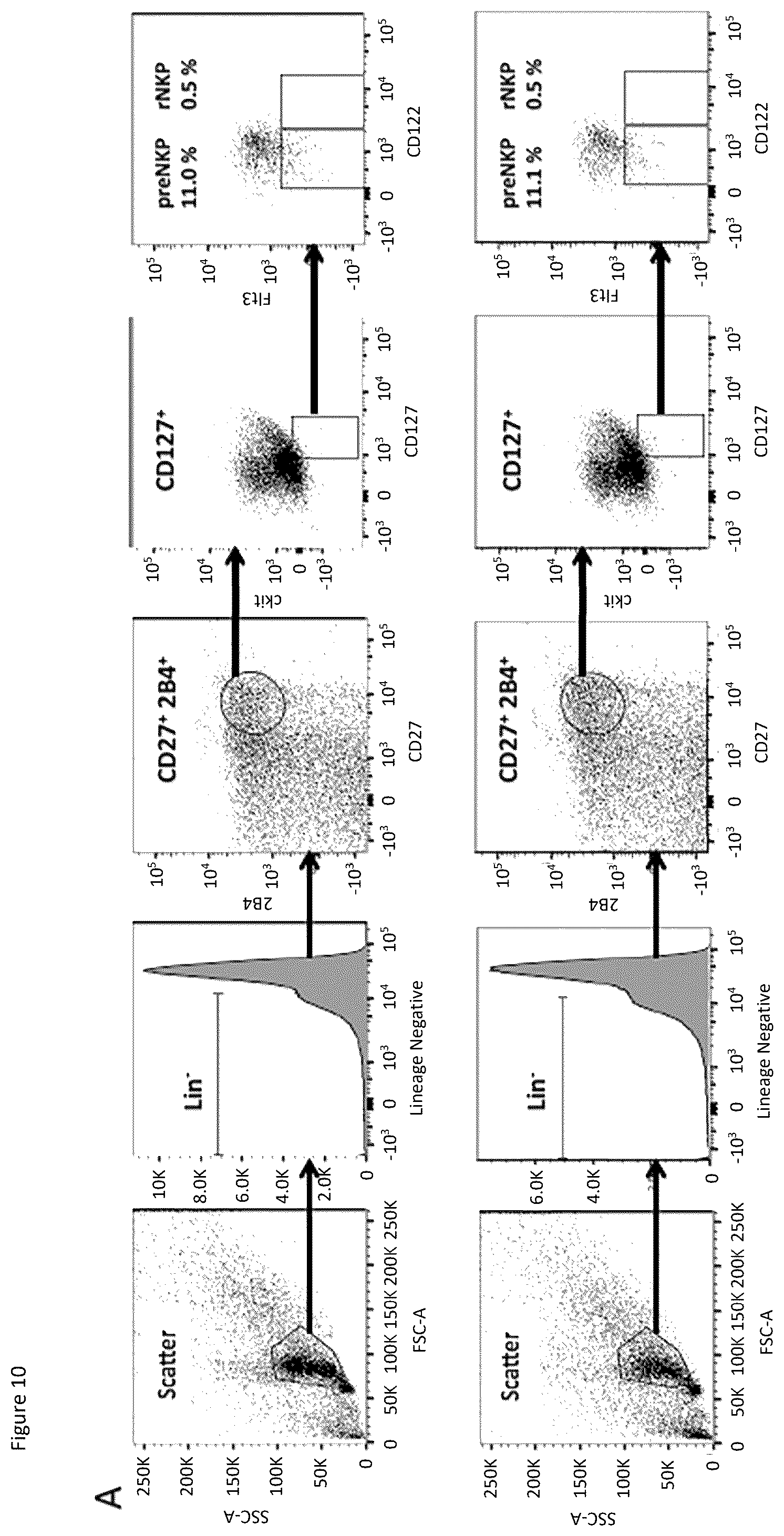 Patent US12496298 Figure 15 – Natural killer cells