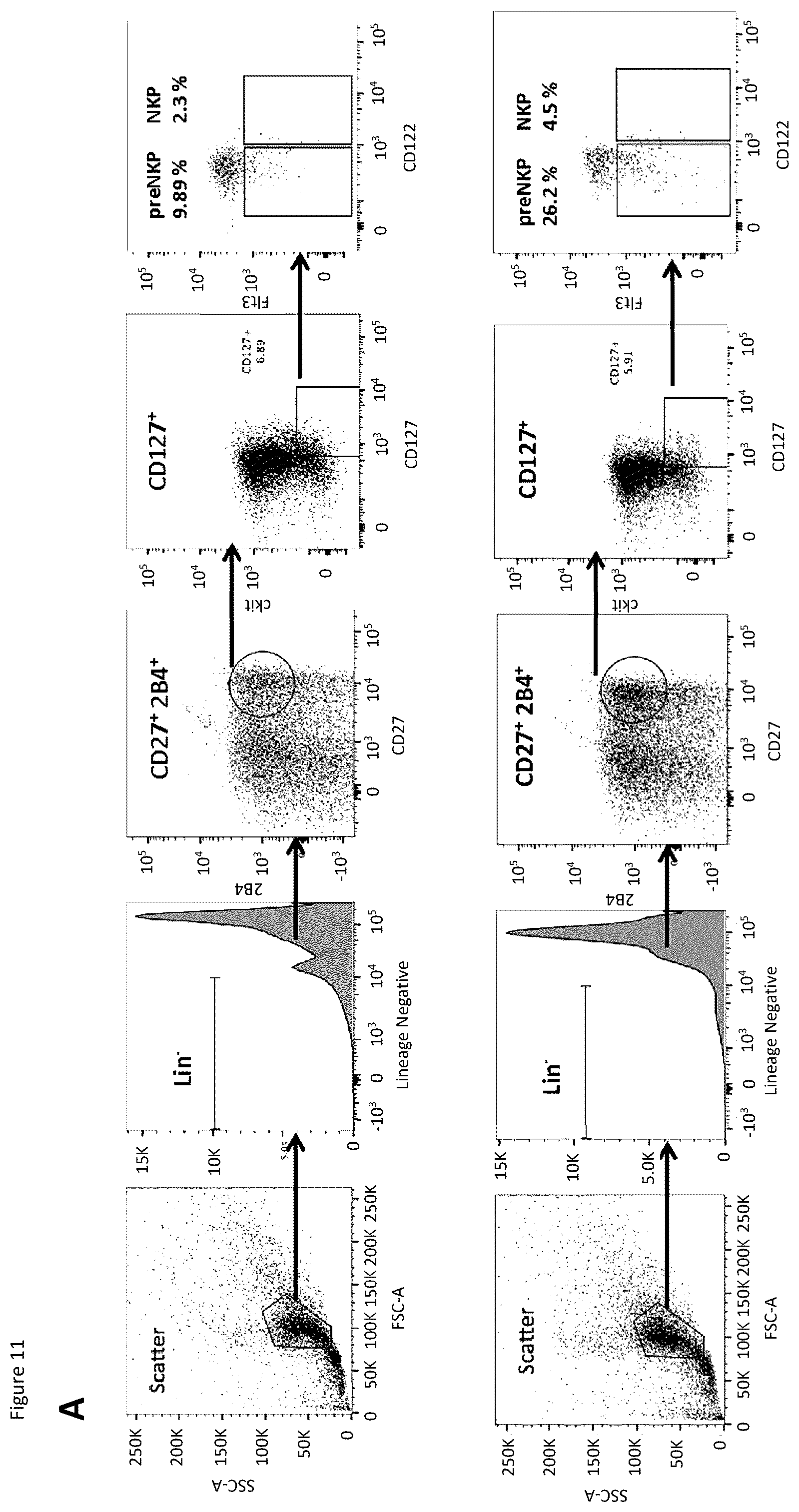 Patent US12496298 Figure 17 – Natural killer cells