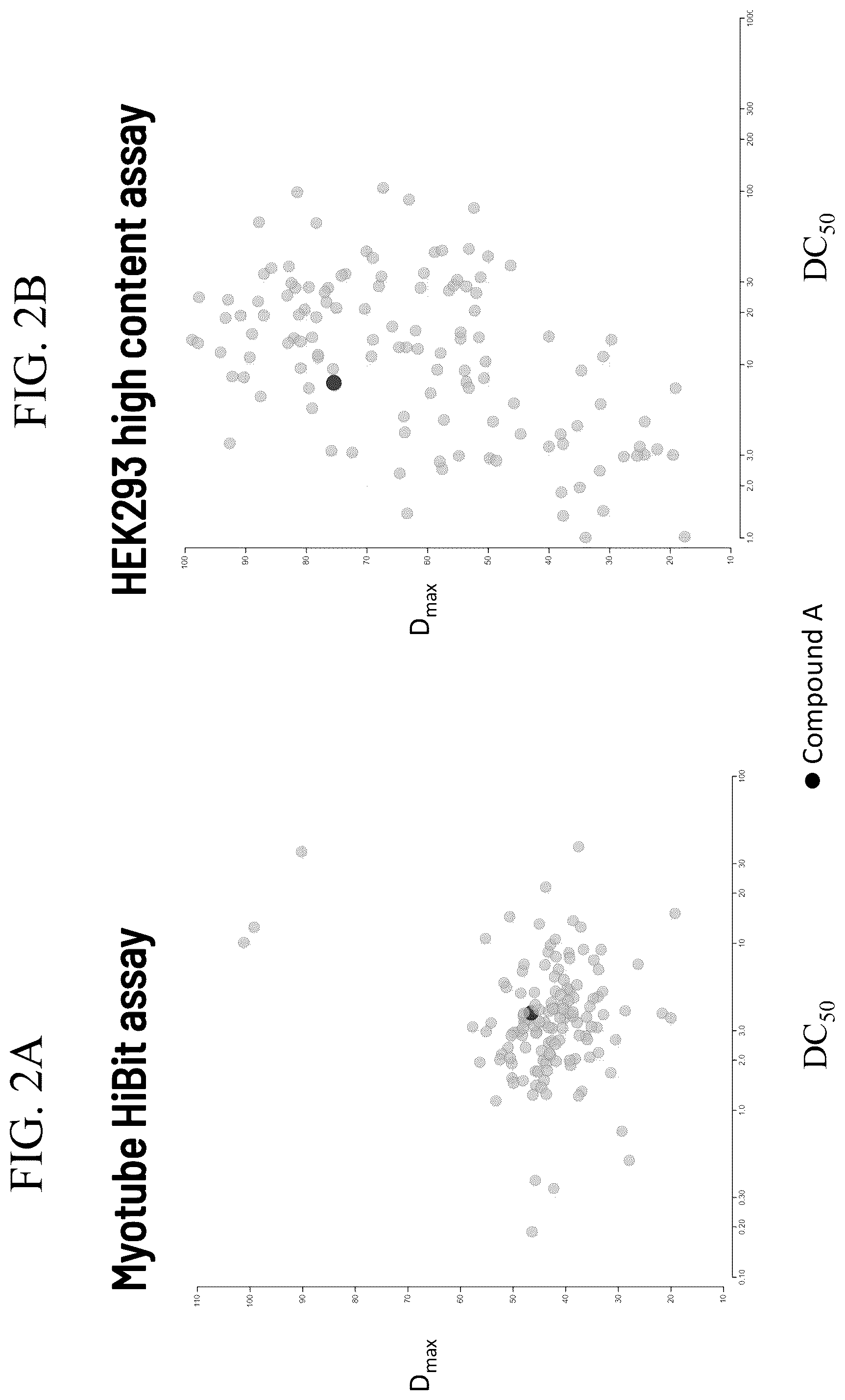 Patent US12496301 Figure 2 – Use of androgen receptor degrader for the treatment of spinal and bulbar muscular atrophy