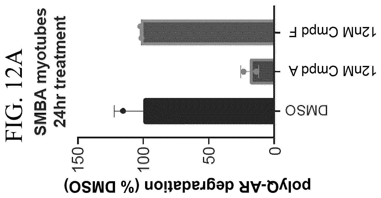 Patent US12496301 Figure 19 – Use of androgen receptor degrader for the treatment of spinal and bulbar muscular atrophy