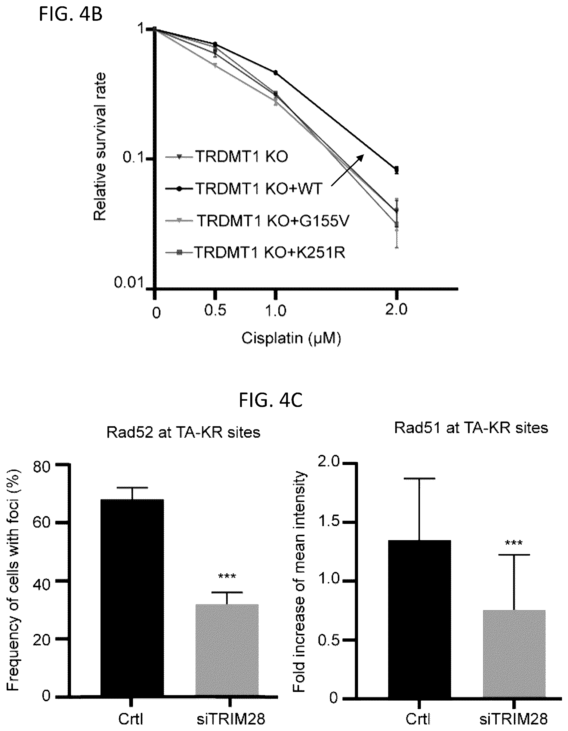 Patent US12496302 Figure 7 – Compositions and methods for the treatment and diagnosis of cancer