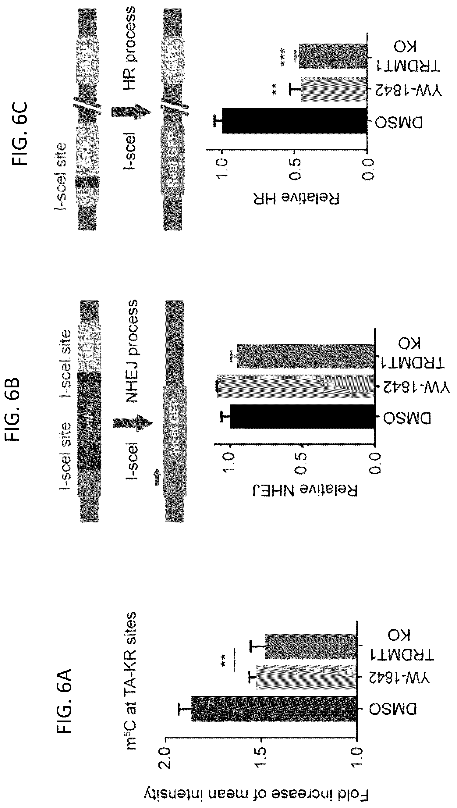 Patent US12496302 Figure 10 – Compositions and methods for the treatment and diagnosis of cancer