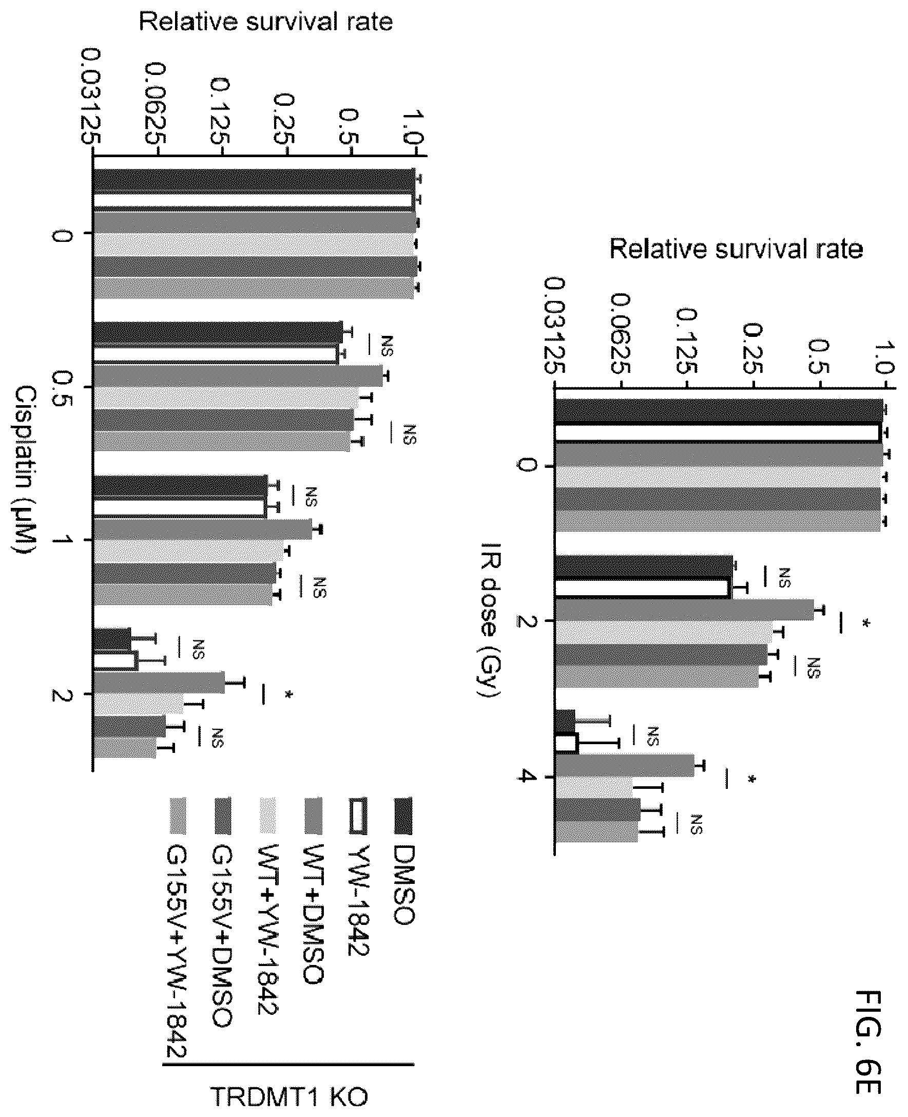 Patent US12496302 Figure 12 – Compositions and methods for the treatment and diagnosis of cancer