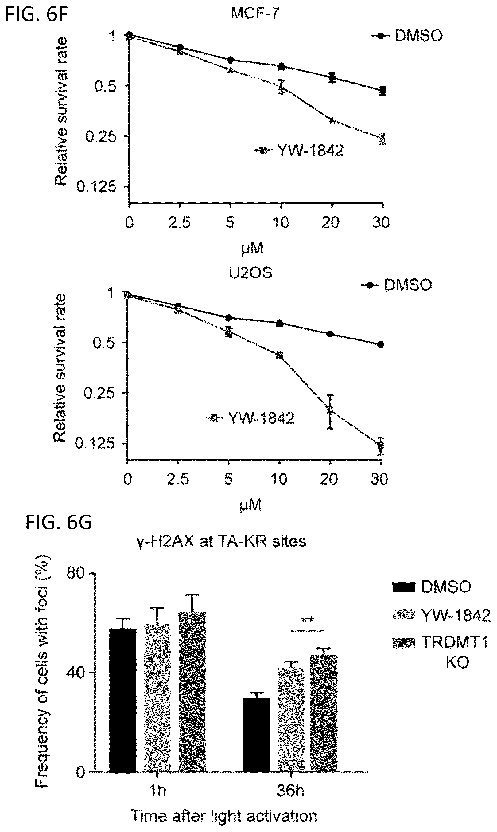 Patent US12496302 Figure 13 – Compositions and methods for the treatment and diagnosis of cancer