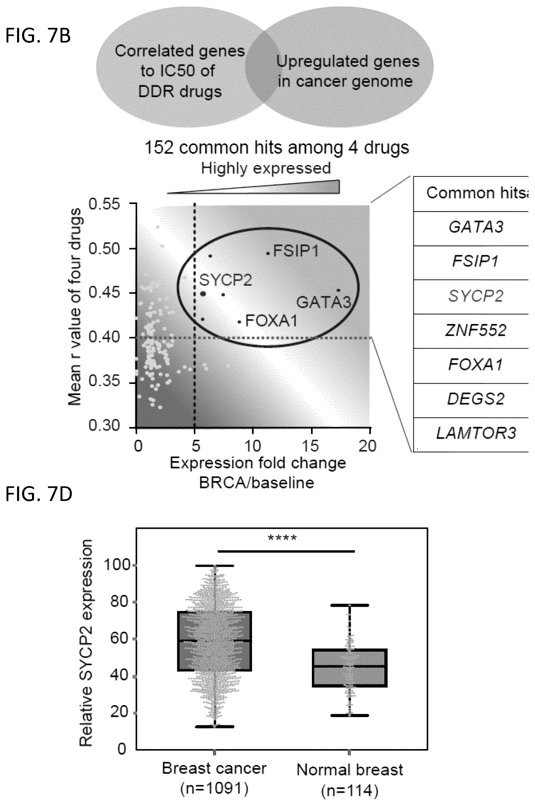 Patent US12496302 Figure 16 – Compositions and methods for the treatment and diagnosis of cancer