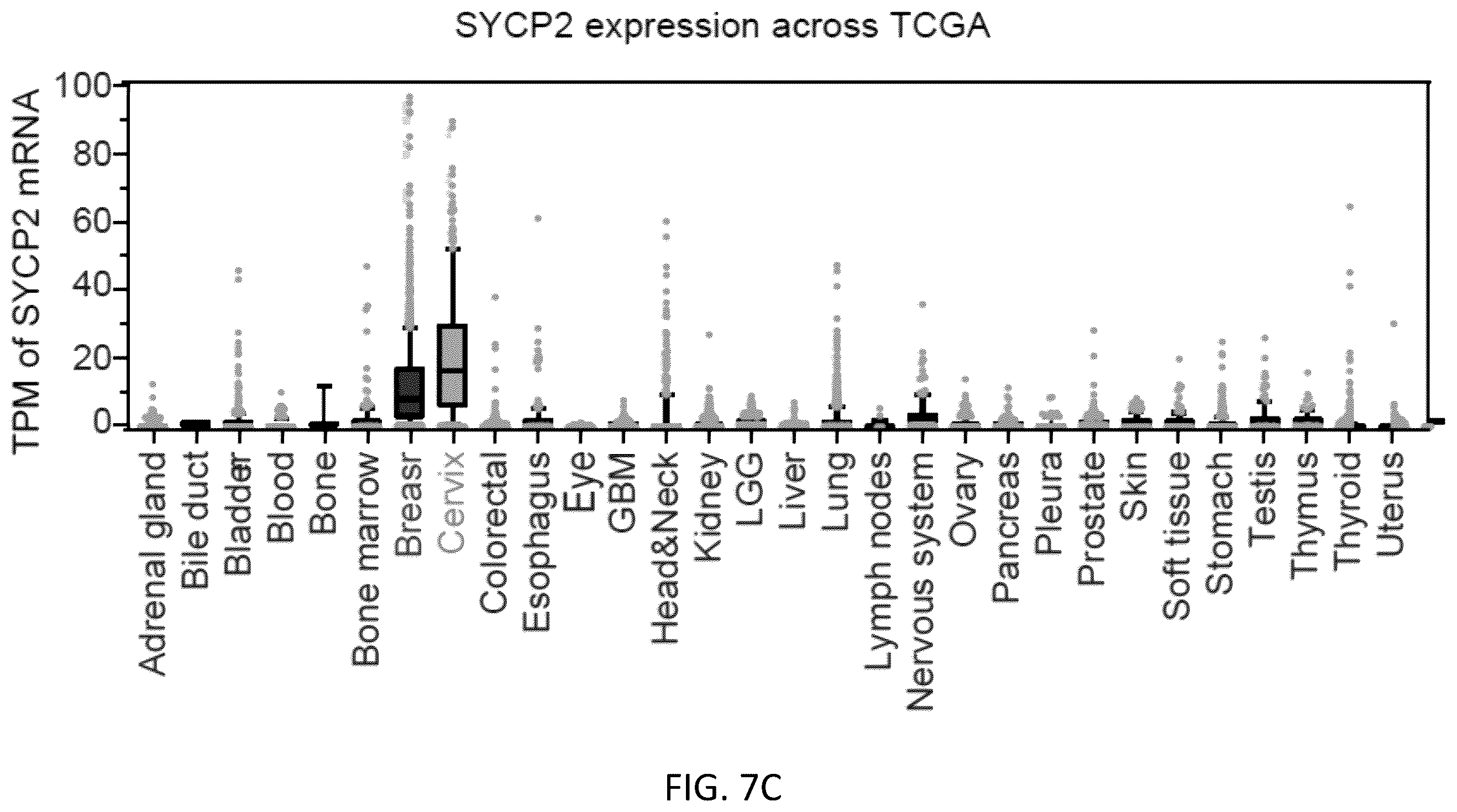 Patent US12496302 Figure 17 – Compositions and methods for the treatment and diagnosis of cancer