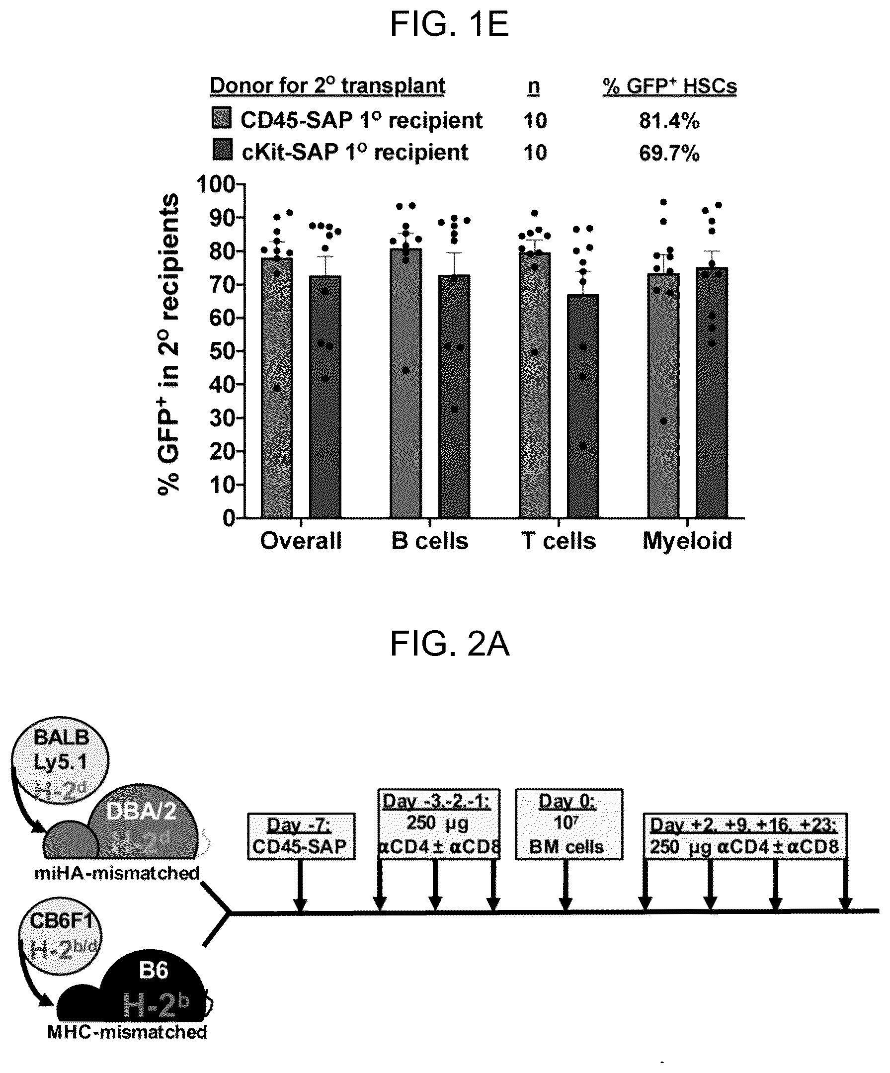Patent US12496303 Figure 4 – Conditioning agents for use in allogeneic hematopoietic stem cell transplantation