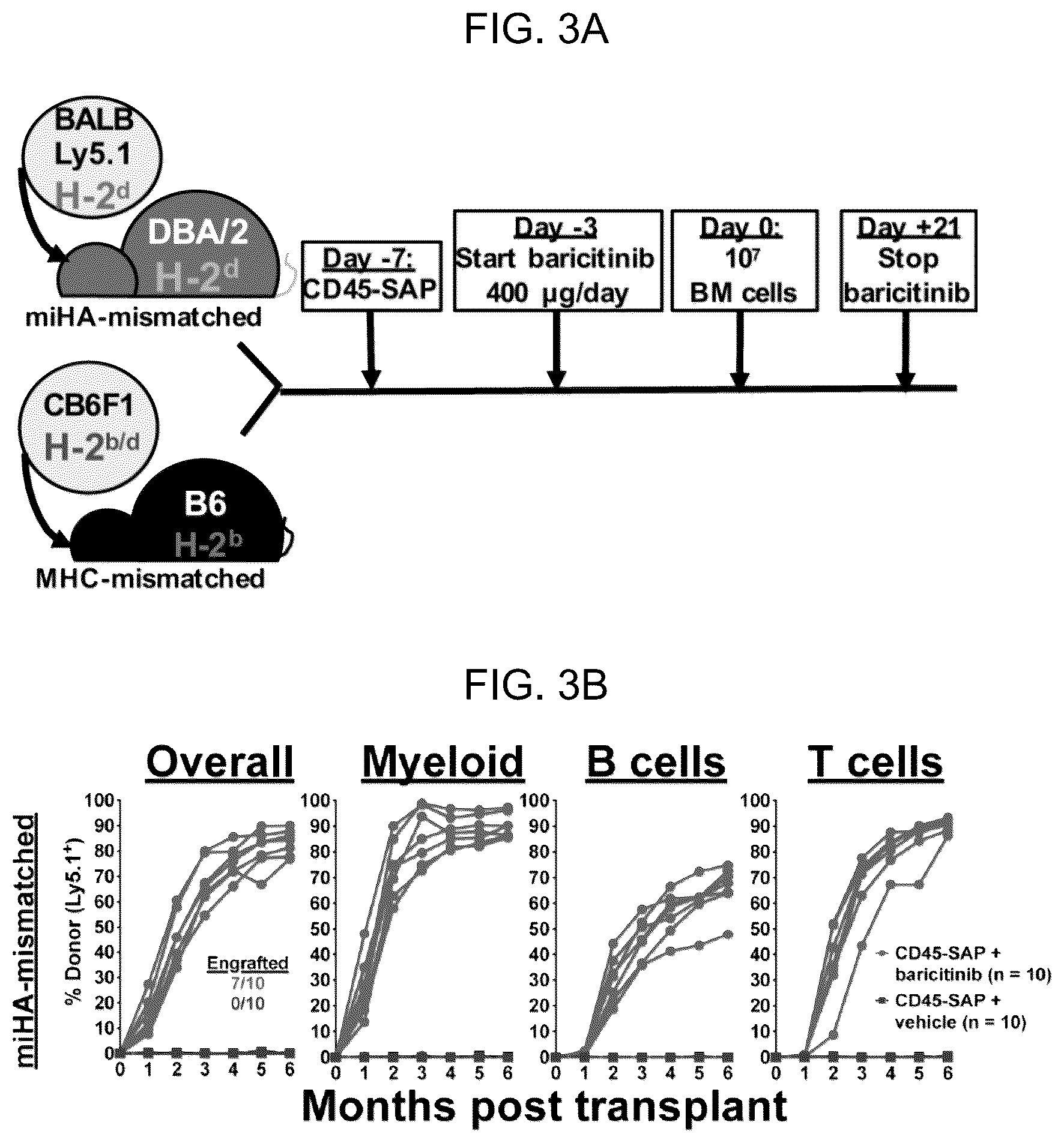 Patent US12496303 Figure 8 – Conditioning agents for use in allogeneic hematopoietic stem cell transplantation