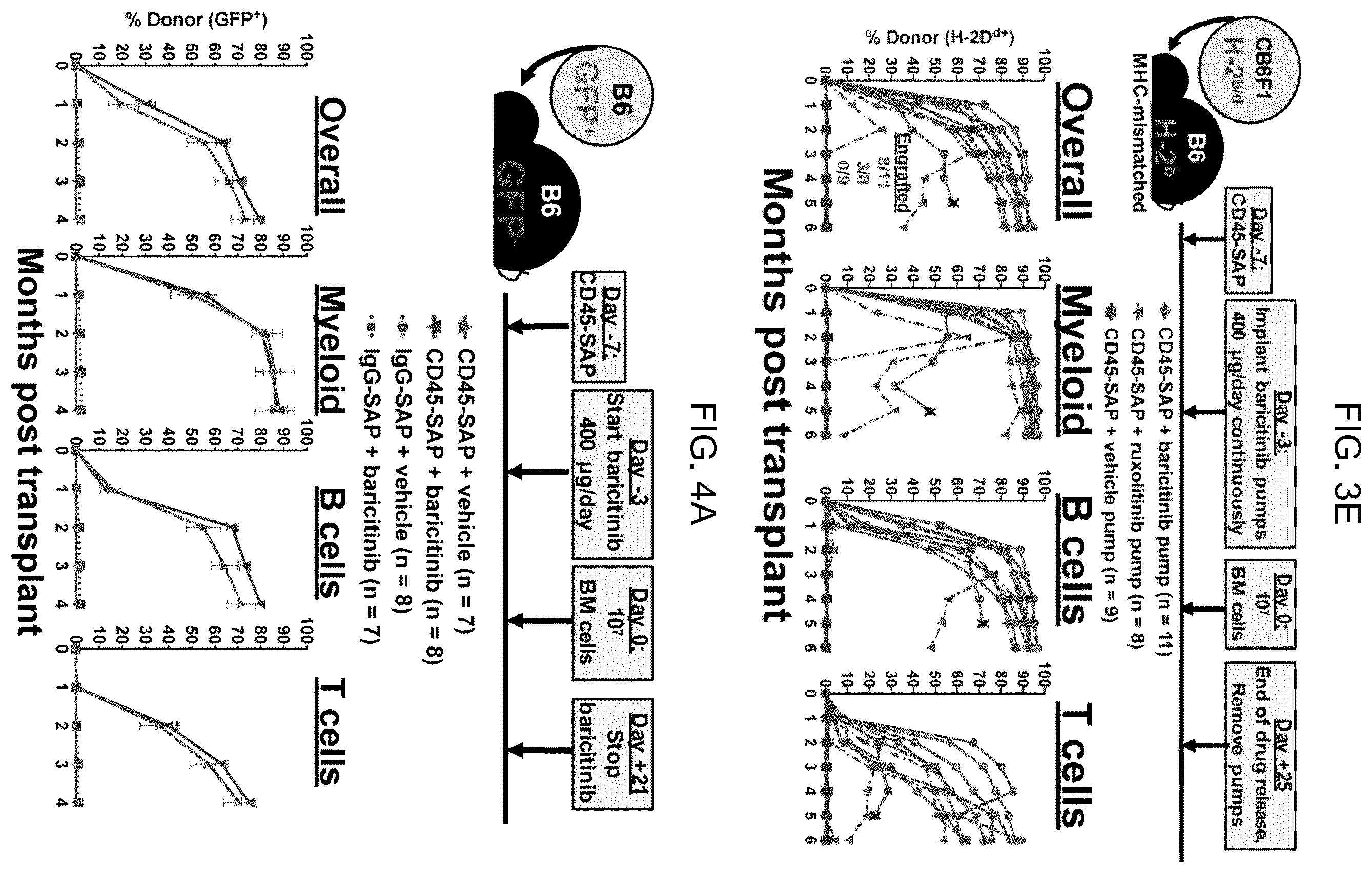 Patent US12496303 Figure 10 – Conditioning agents for use in allogeneic hematopoietic stem cell transplantation