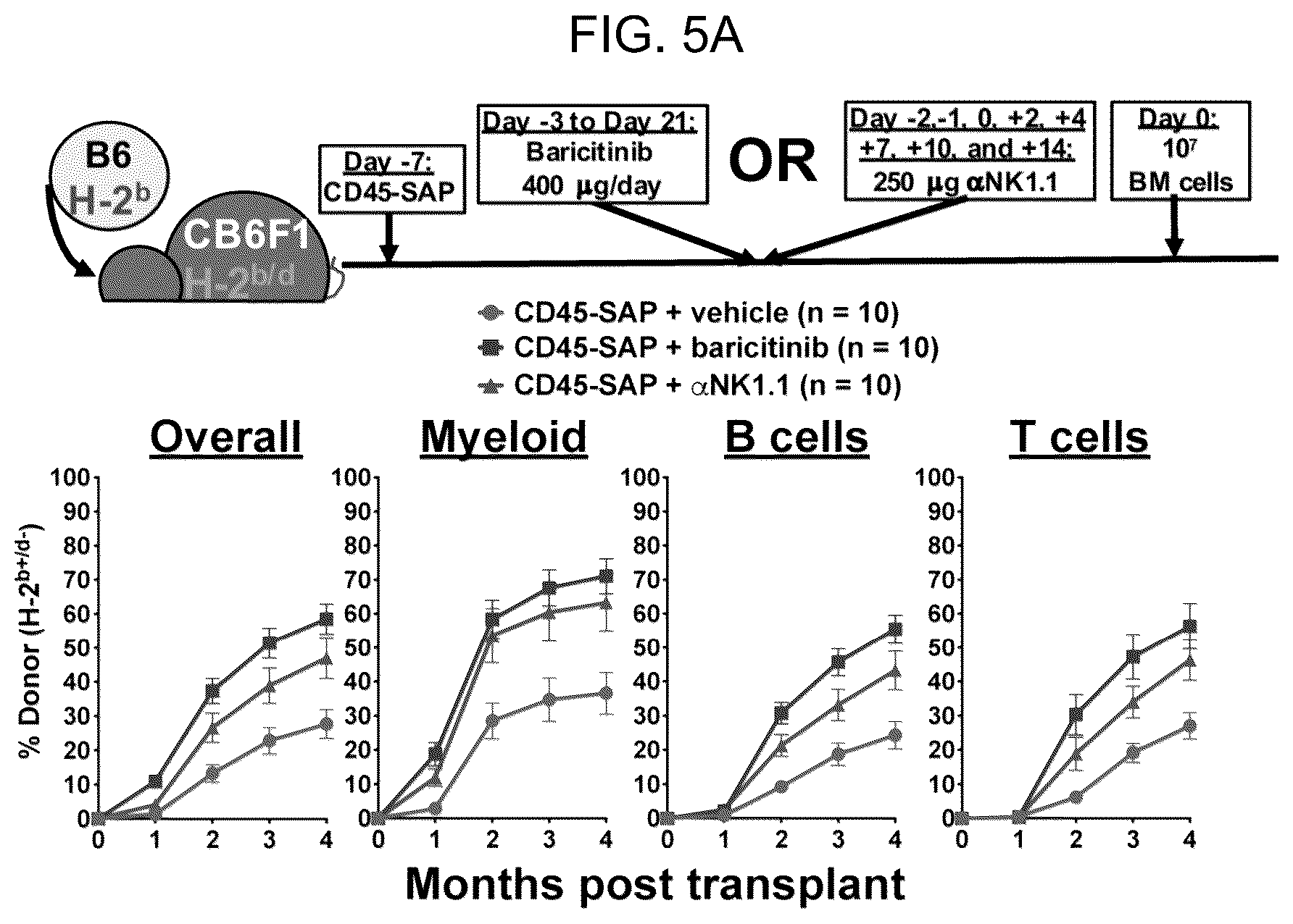 Patent US12496303 Figure 15 – Conditioning agents for use in allogeneic hematopoietic stem cell transplantation