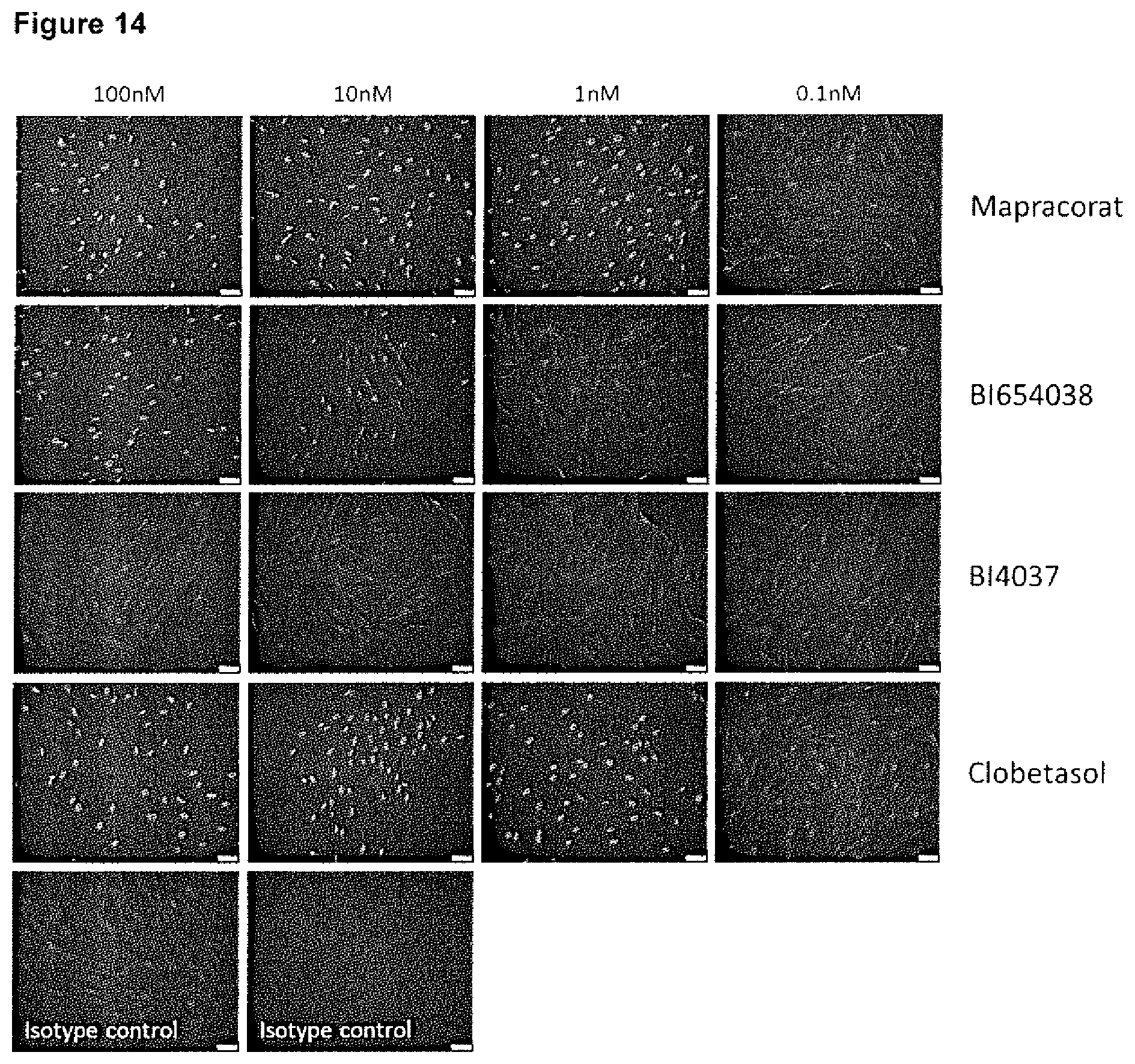 Patent US12496304 Figure 17 – Selective glucocorticoid receptor modifiers for treating impaired skin wound healing