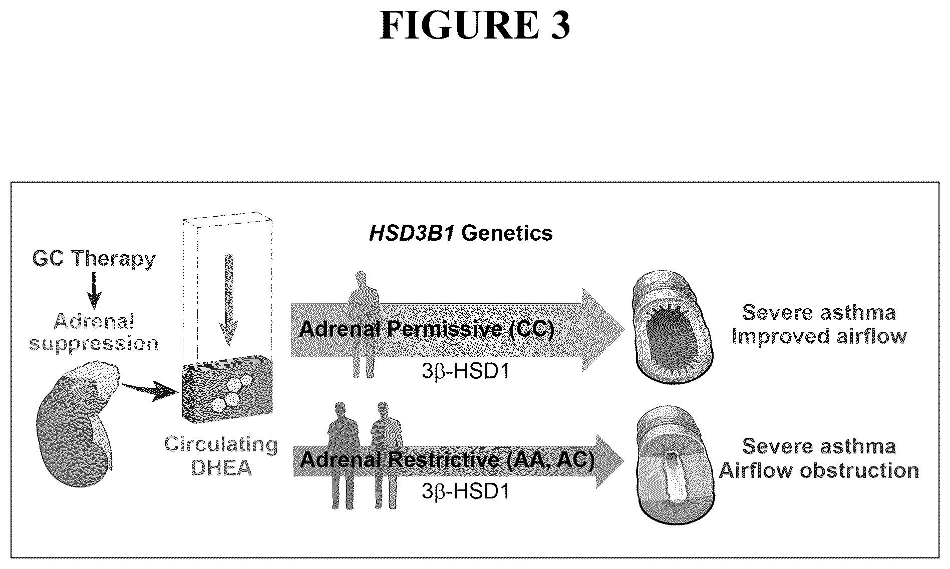 Patent US12496305 Figure 3 – Detection for determining corticosteroid responsiveness
