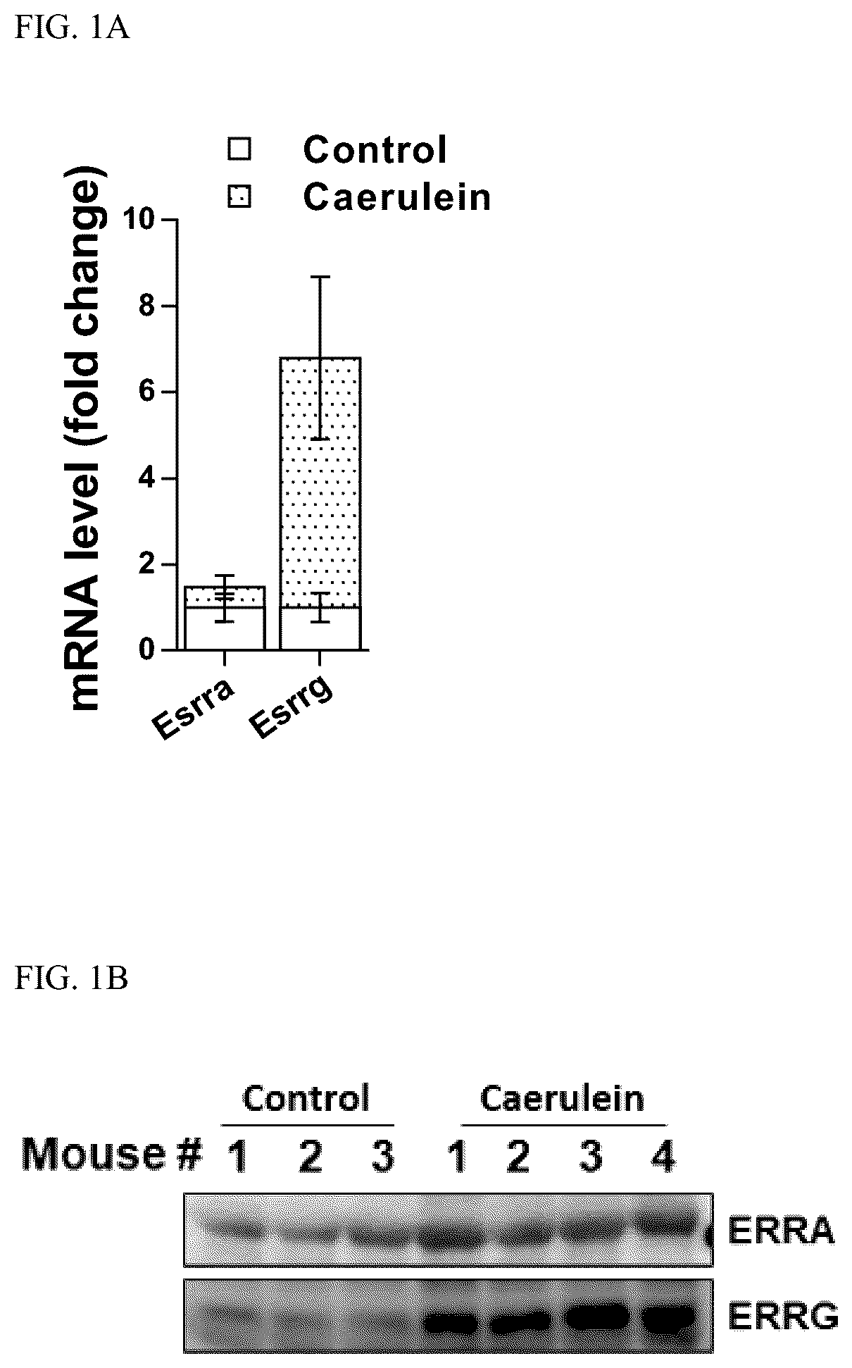Patent US12496309 Figure 1 – Method for treatment of pancreatitis