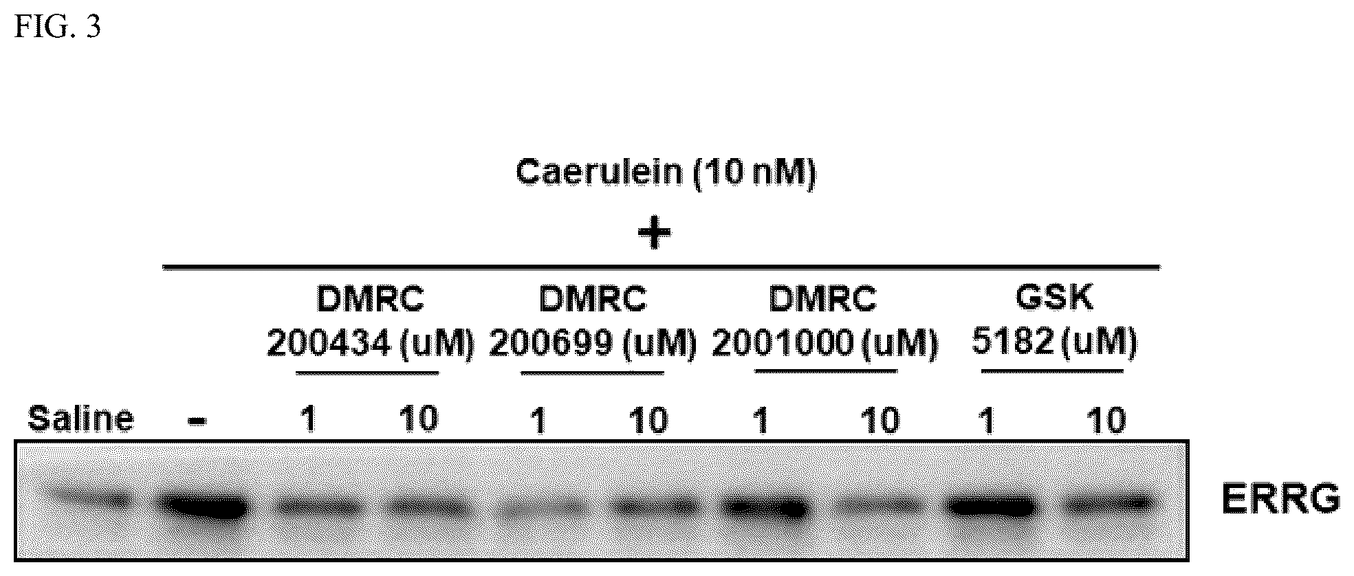 Patent US12496309 Figure 3 – Method for treatment of pancreatitis