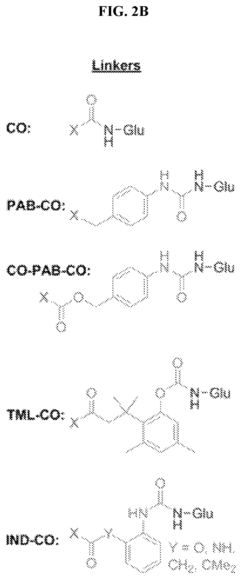 Patent US12496310 Figure 3 – Compositions and methods for adoptive cell therapy