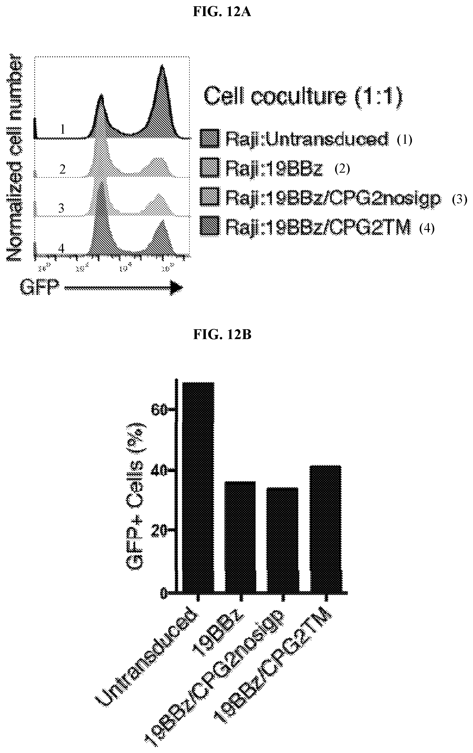 Patent US12496310 Figure 16 – Compositions and methods for adoptive cell therapy