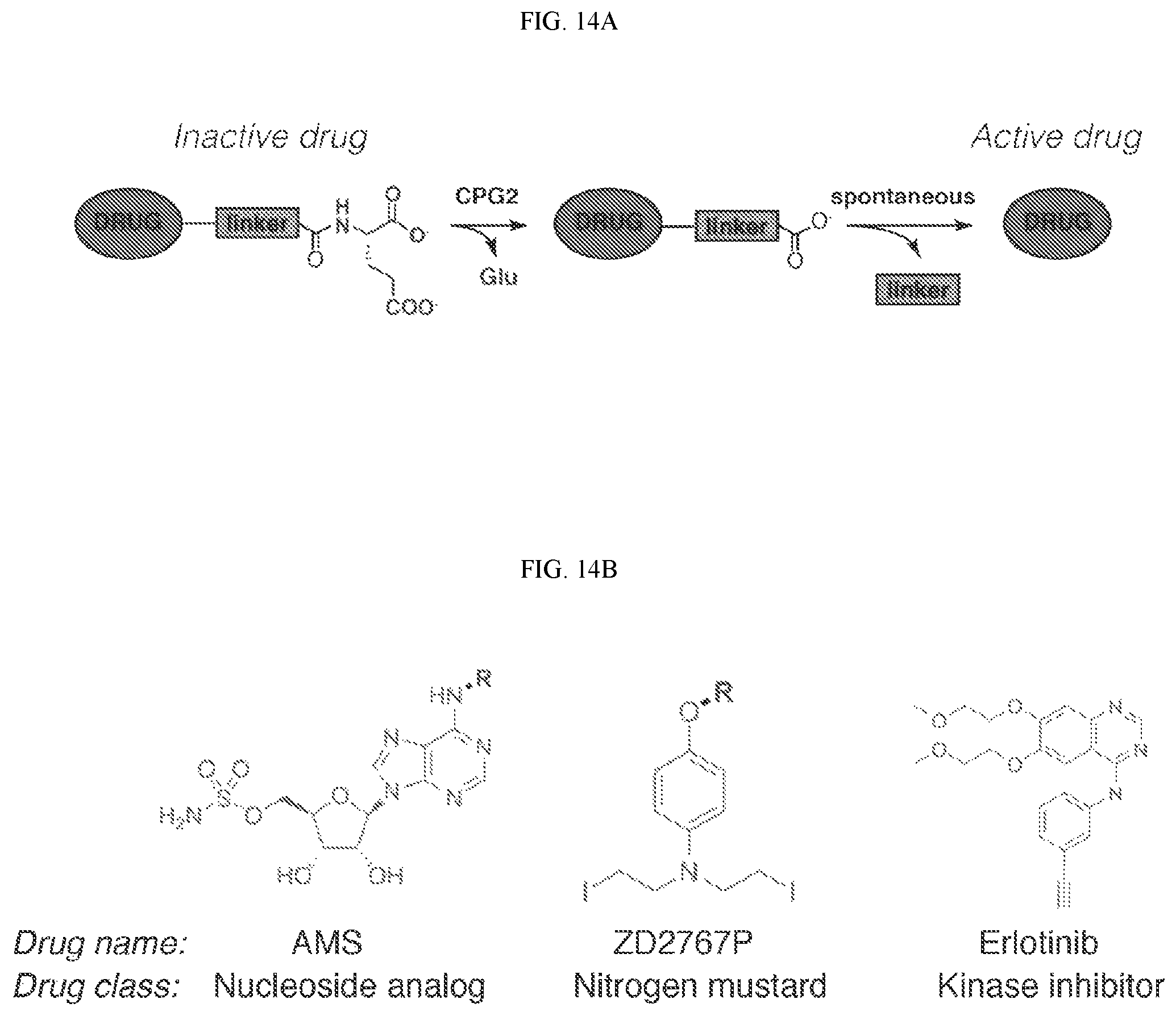 Patent US12496310 Figure 18 – Compositions and methods for adoptive cell therapy