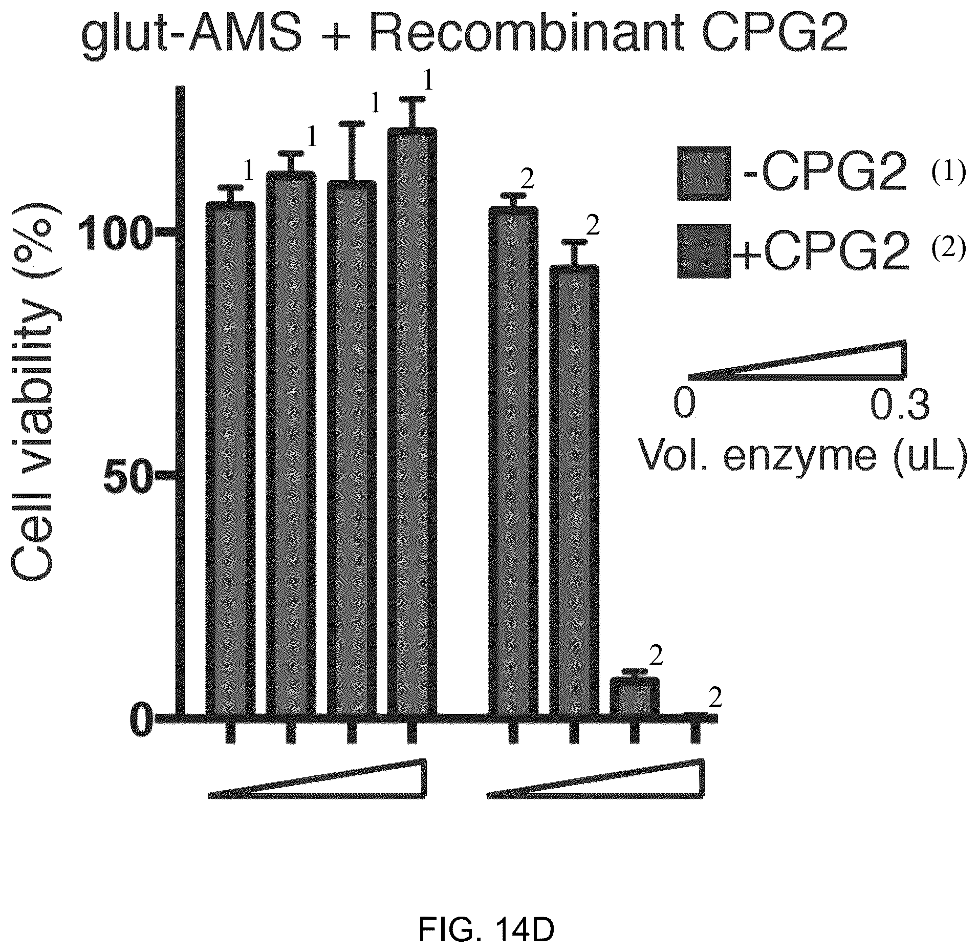 Patent US12496310 Figure 20 – Compositions and methods for adoptive cell therapy