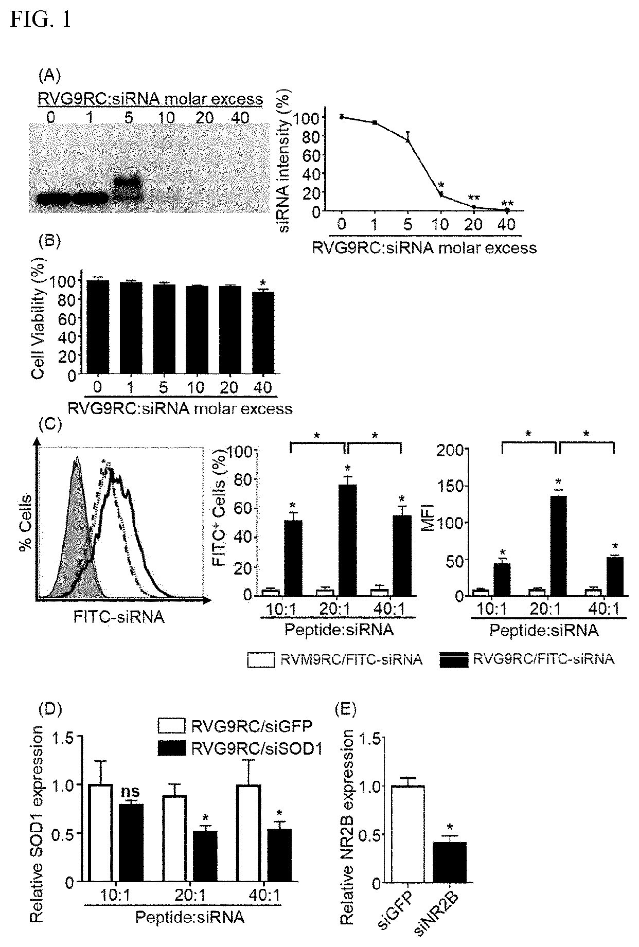 Patent US12496312 Figure 1 – Method for alleviating cancer-induced pain through control of pain signals in central nervous system