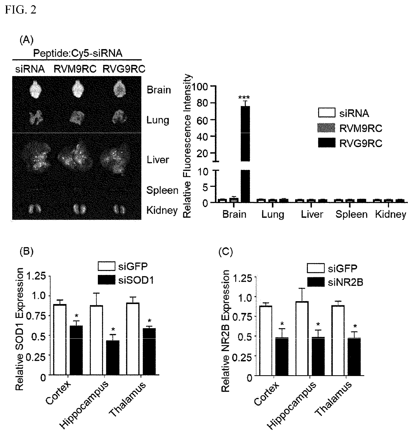 Patent US12496312 Figure 2 – Method for alleviating cancer-induced pain through control of pain signals in central nervous system