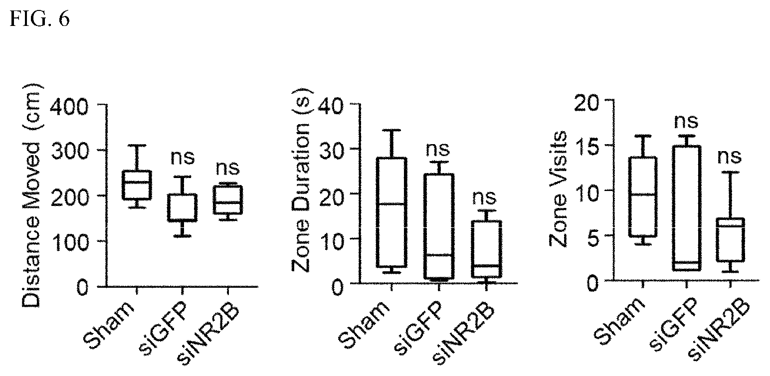 Patent US12496312 Figure 5 – Method for alleviating cancer-induced pain through control of pain signals in central nervous system