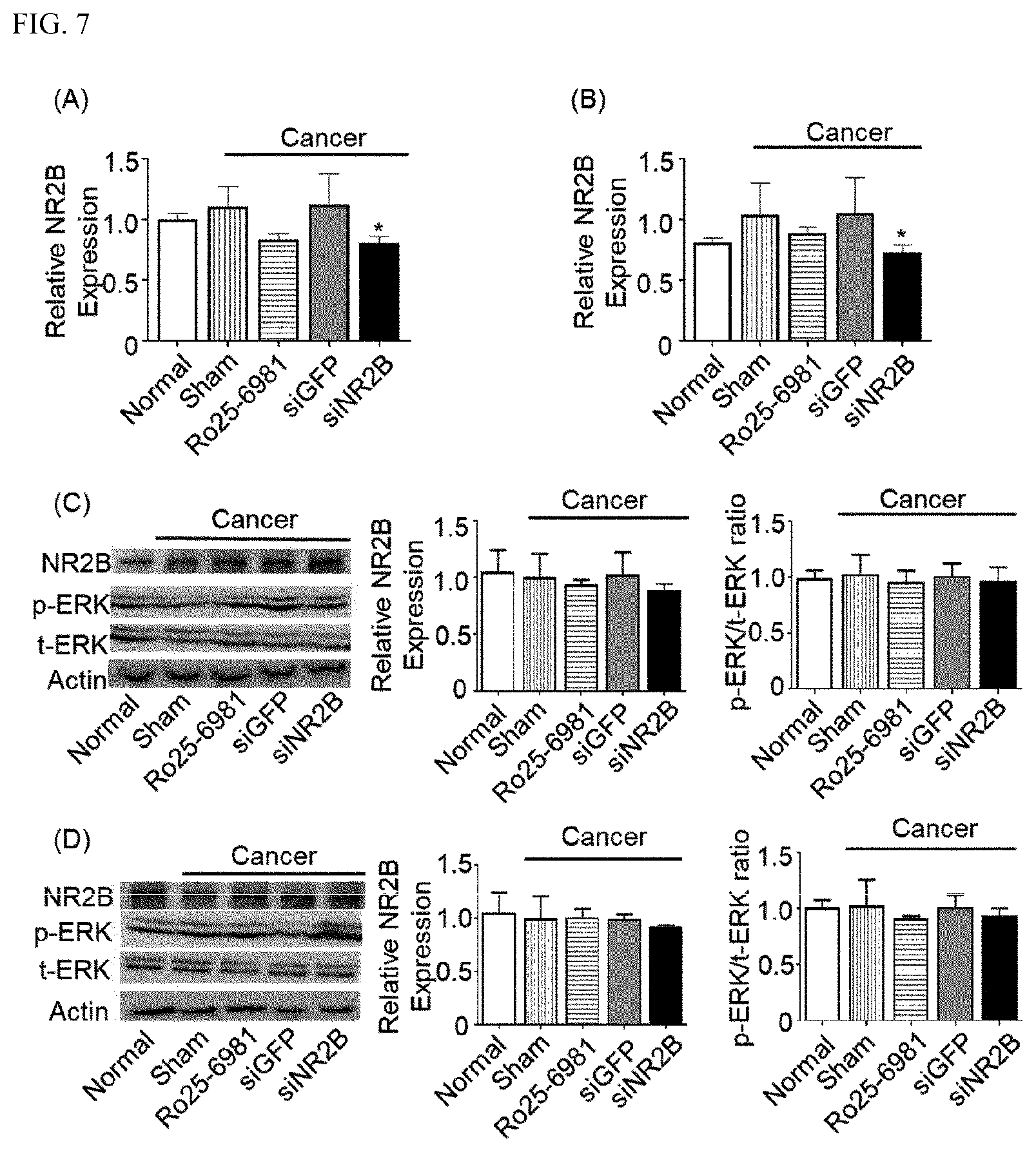 Patent US12496312 Figure 6 – Method for alleviating cancer-induced pain through control of pain signals in central nervous system