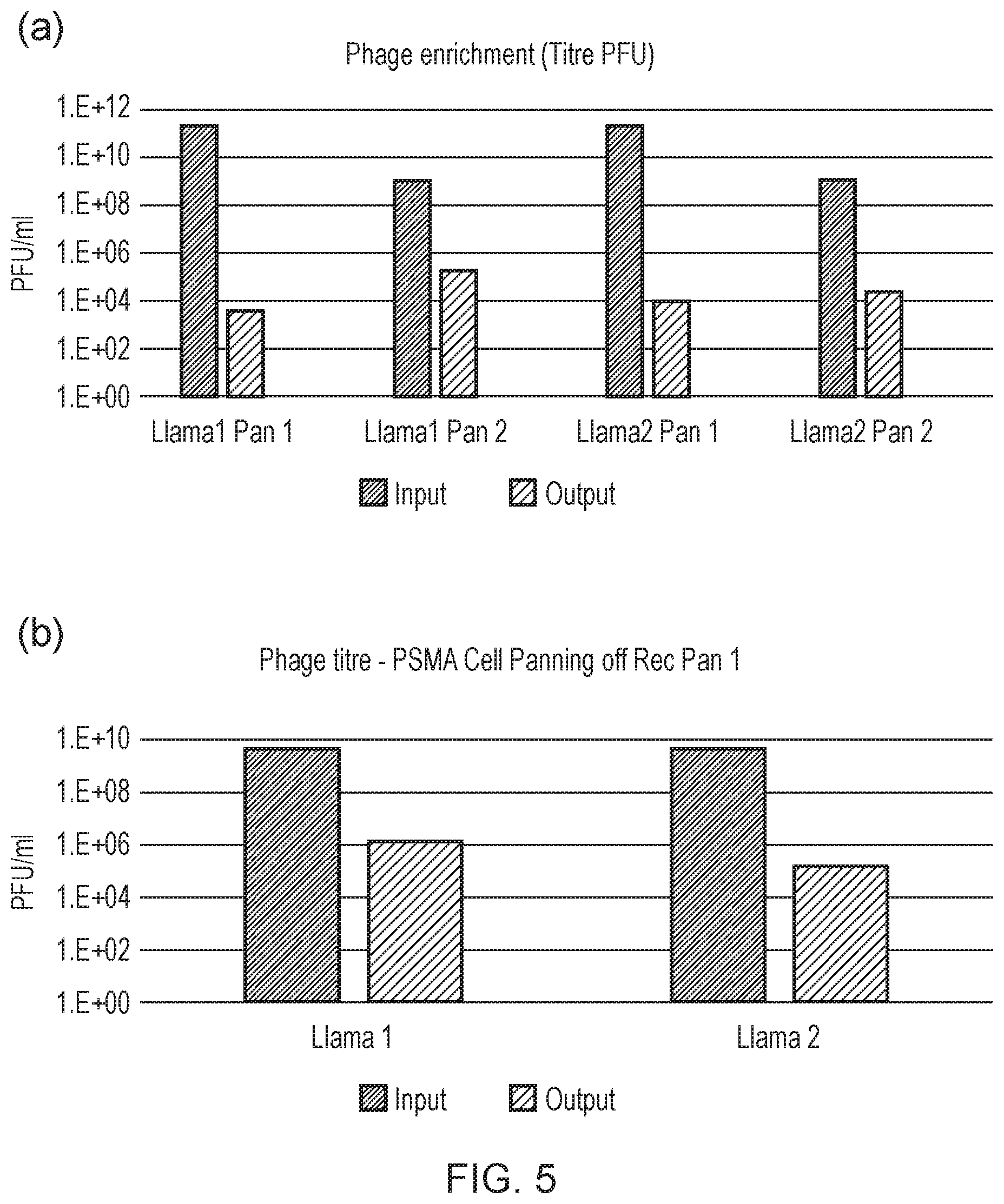 Patent US12496314 Figure 5 – Antigen-binding domain