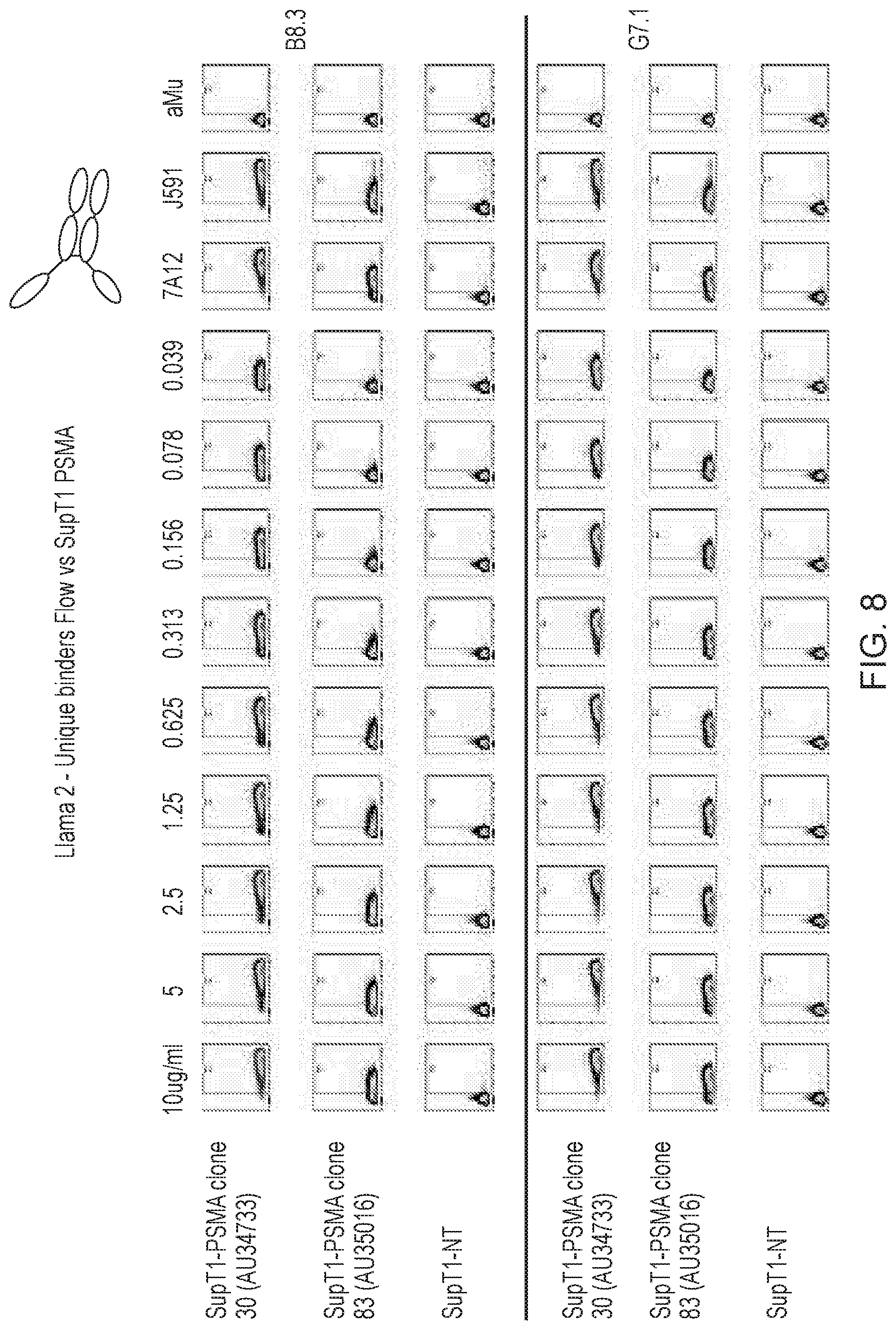 Patent US12496314 Figure 8 – Antigen-binding domain