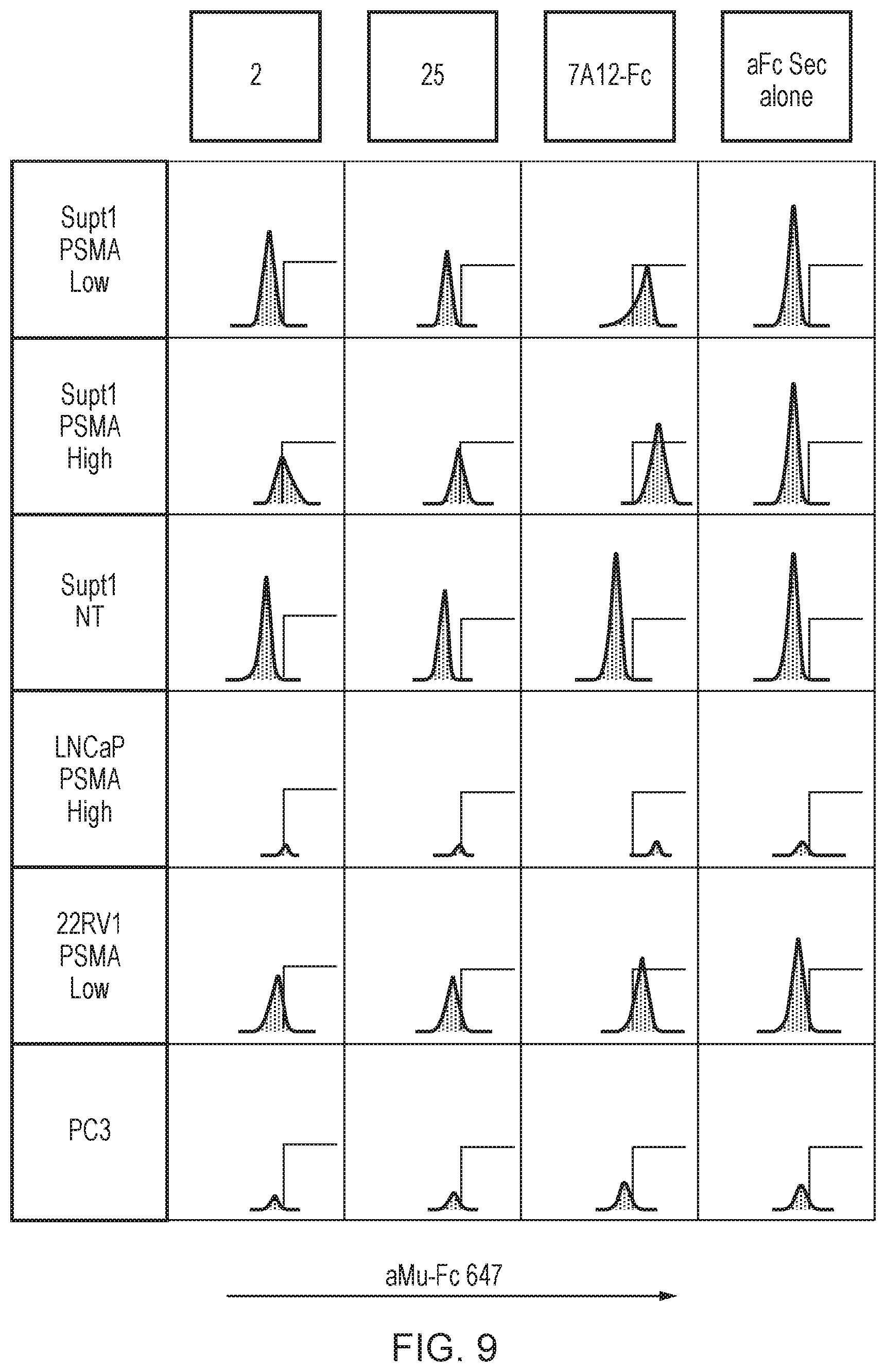 Patent US12496314 Figure 9 – Antigen-binding domain