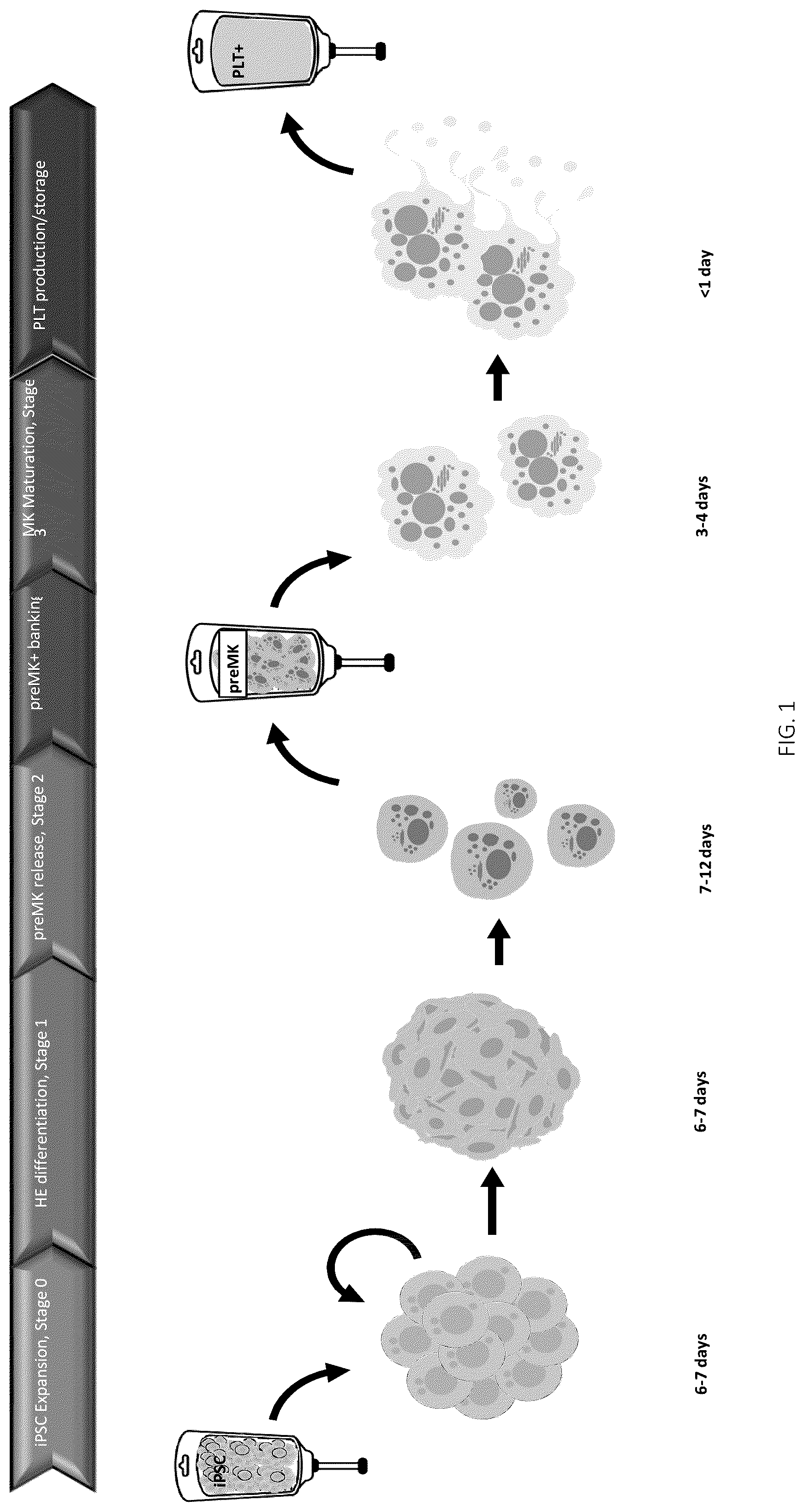 Patent US12496315 Figure 1 – Compositions for drug delivery and methods of use thereof