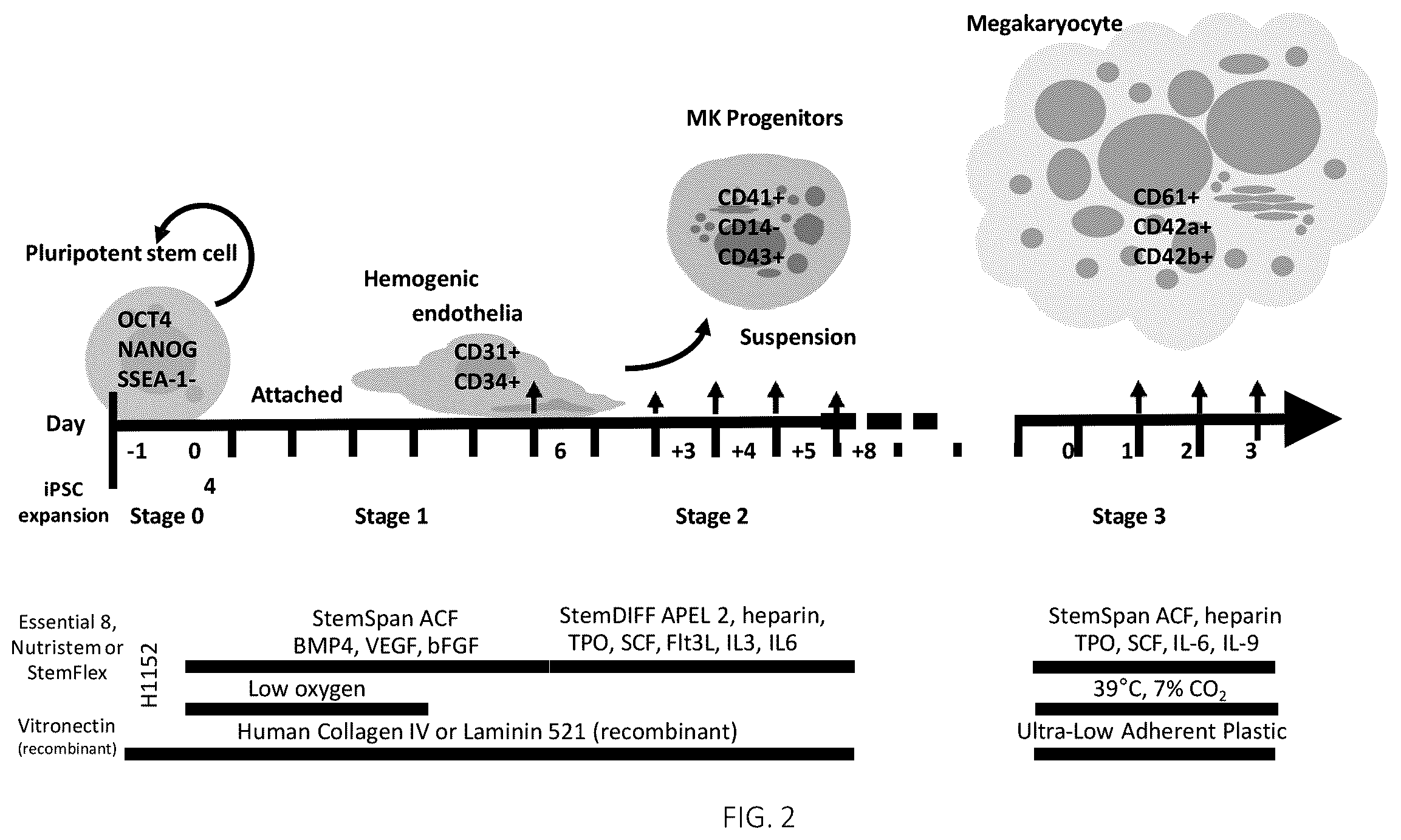 Patent US12496315 Figure 2 – Compositions for drug delivery and methods of use thereof