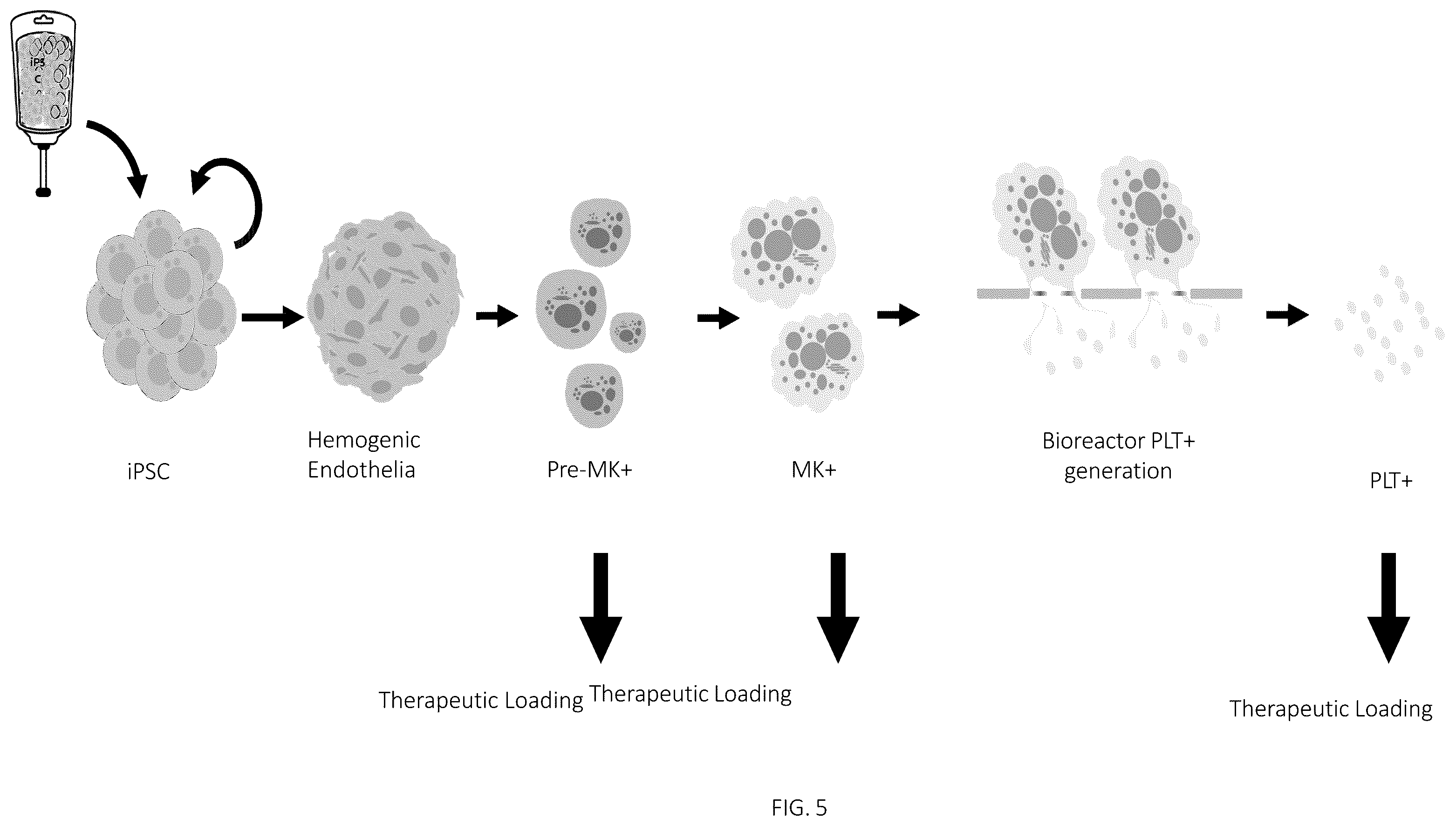 Patent US12496315 Figure 5 – Compositions for drug delivery and methods of use thereof