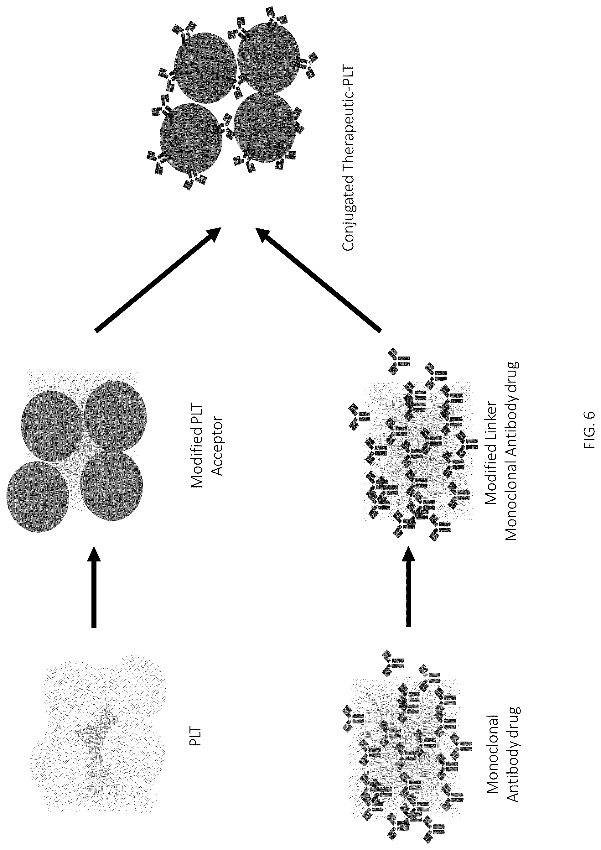 Patent US12496315 Figure 6 – Compositions for drug delivery and methods of use thereof