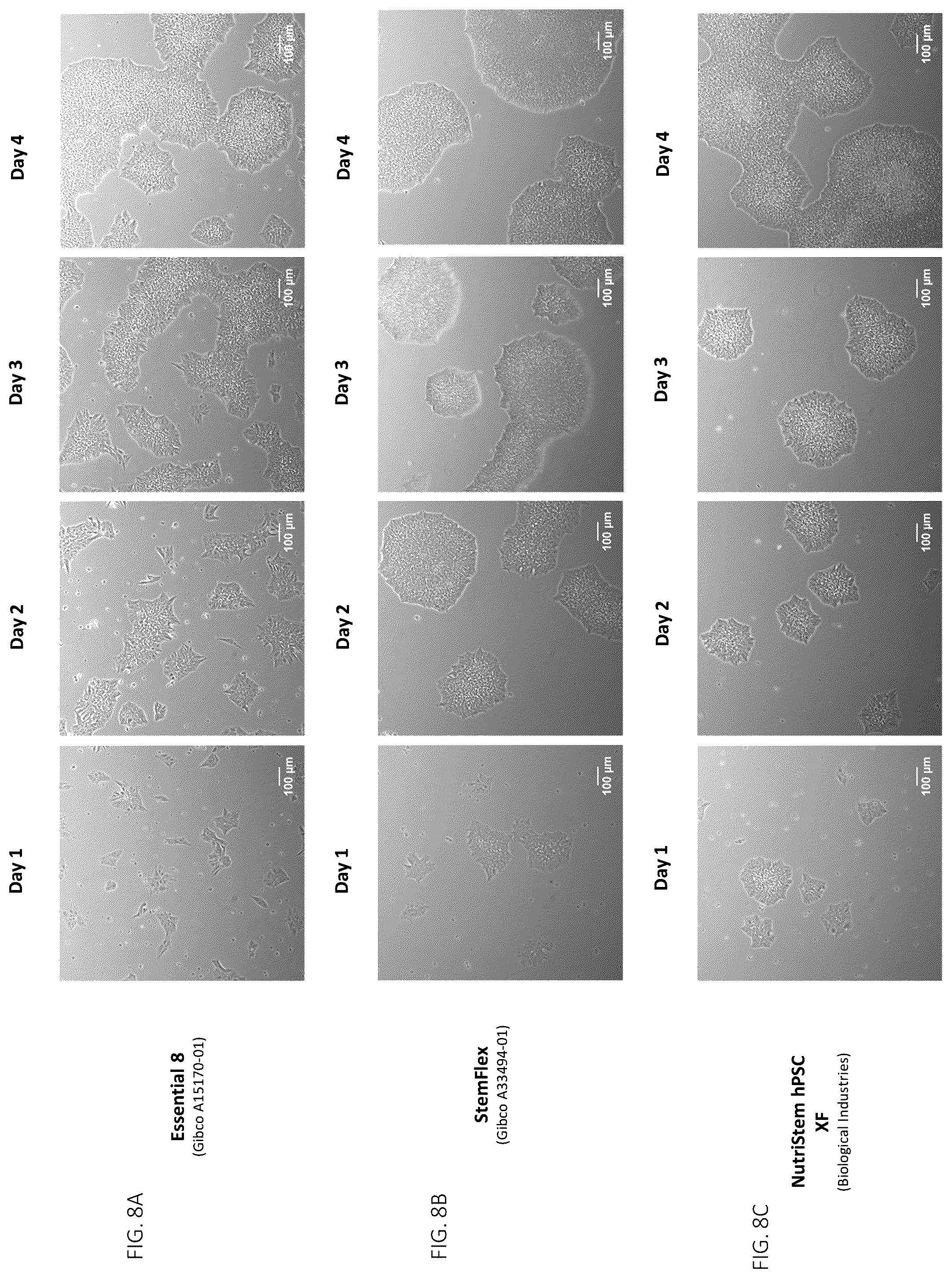 Patent US12496315 Figure 8 – Compositions for drug delivery and methods of use thereof