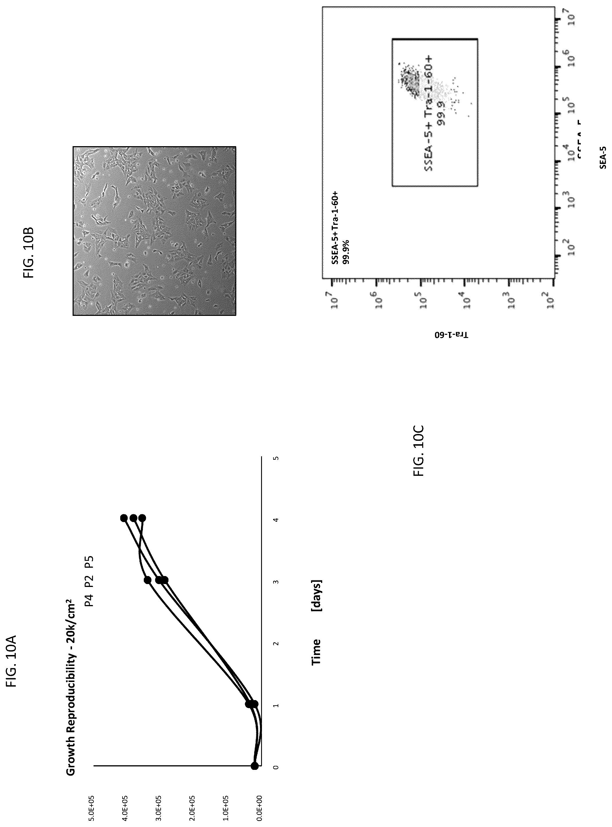 Patent US12496315 Figure 10 – Compositions for drug delivery and methods of use thereof