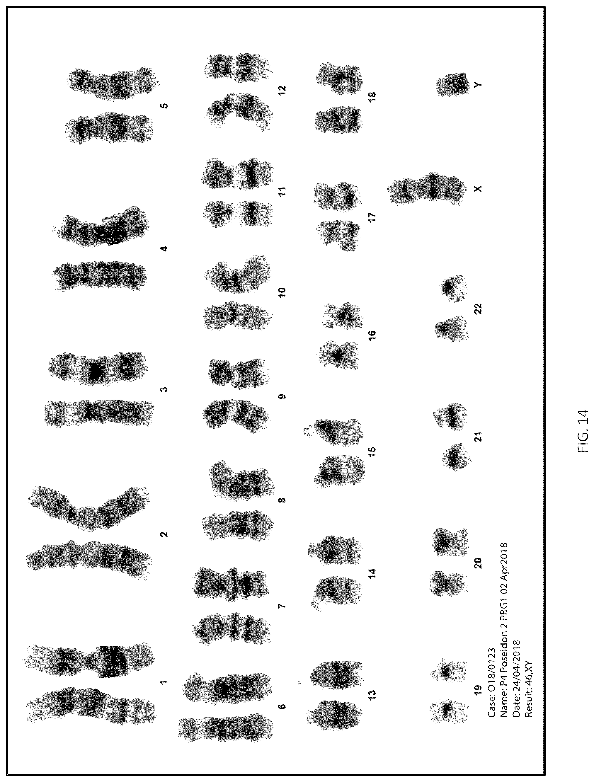 Patent US12496315 Figure 14 – Compositions for drug delivery and methods of use thereof
