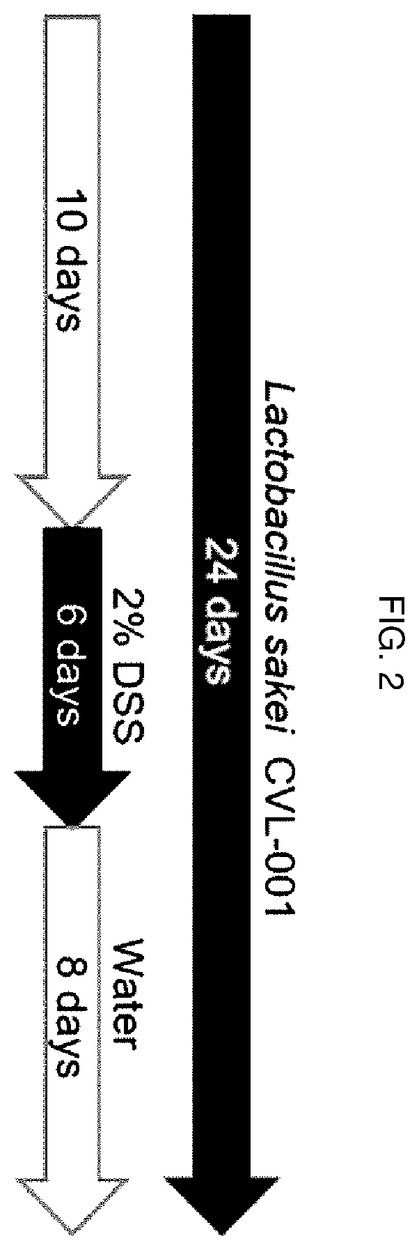 Patent US12496319 Figure 2 – Inflammatory diseases, comprising Lactobacillus sakei CVL-001 strain